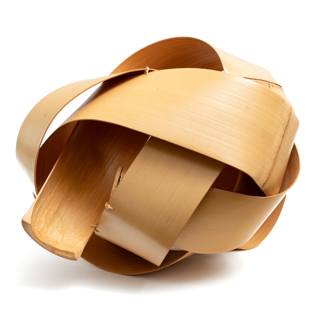 Matsumoto_Hafu_New_Artist.jpg?