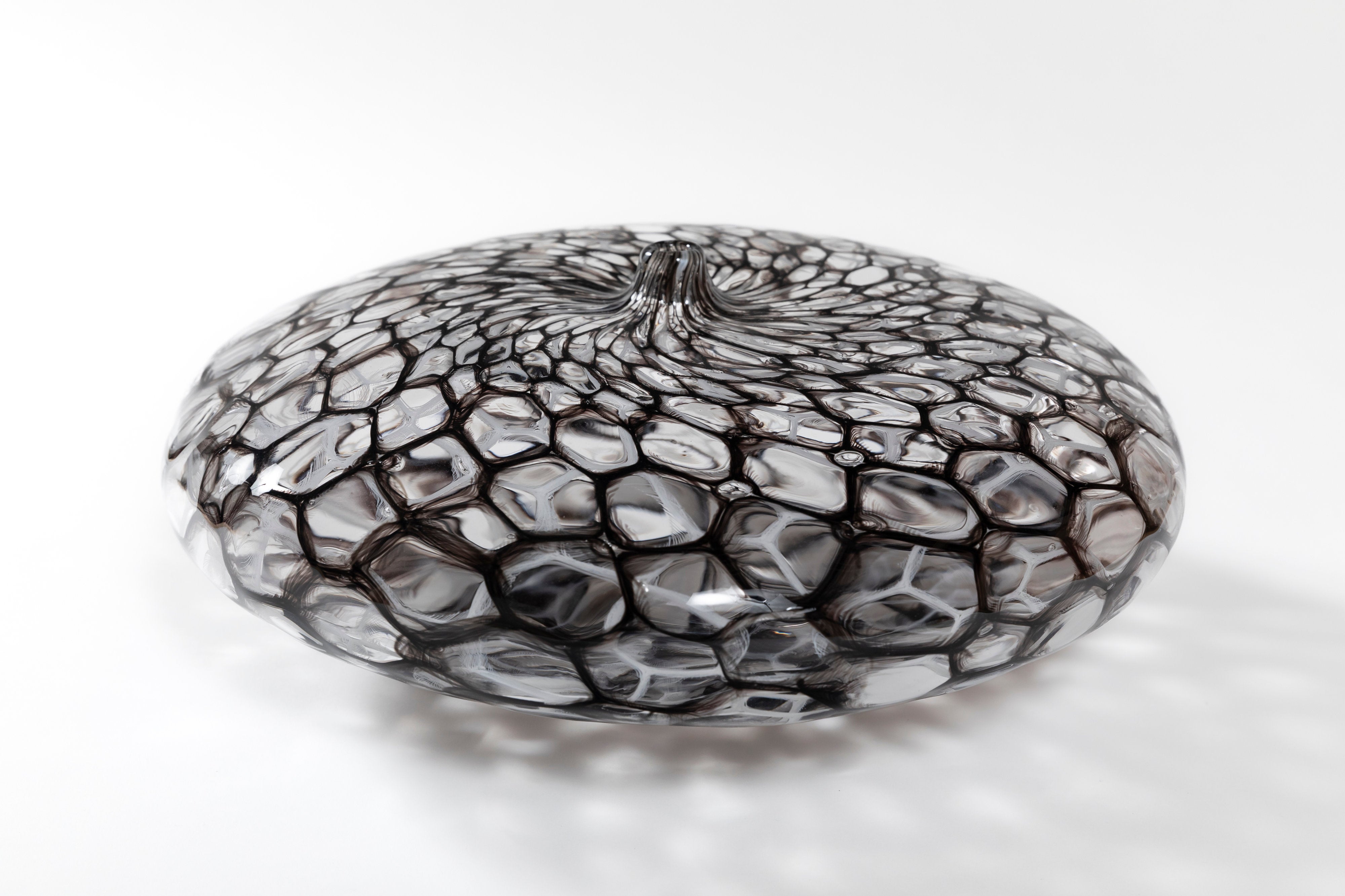 netz 墨白|有永 浩太