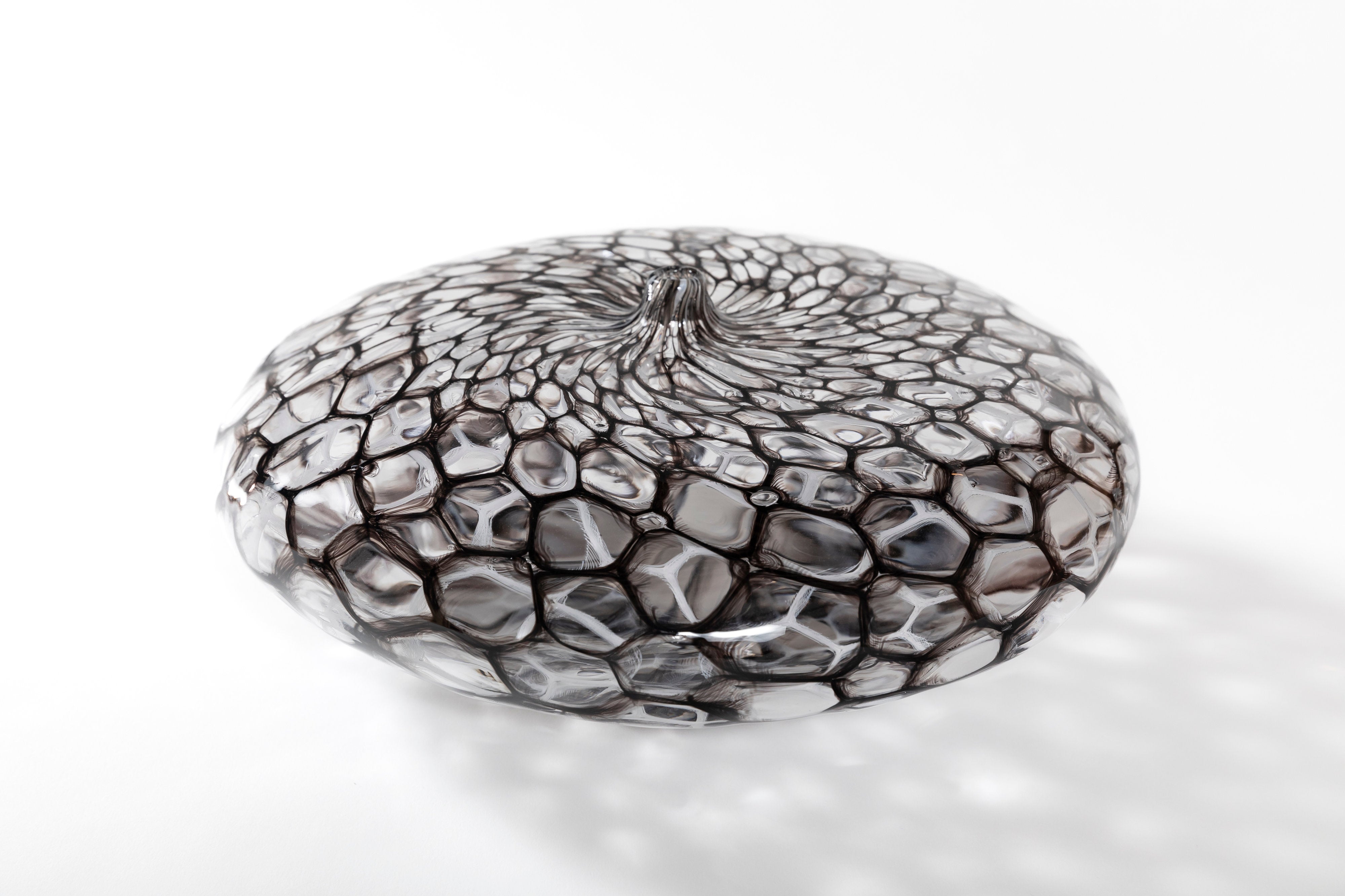 netz 墨白|有永 浩太