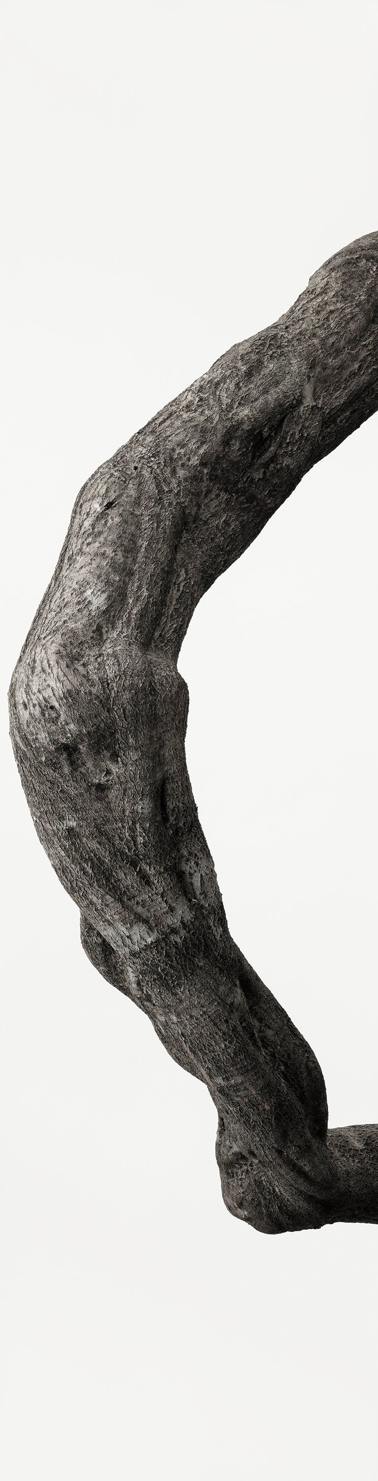 「藤蔓 2」(1/15) | 鞆岡 隆史