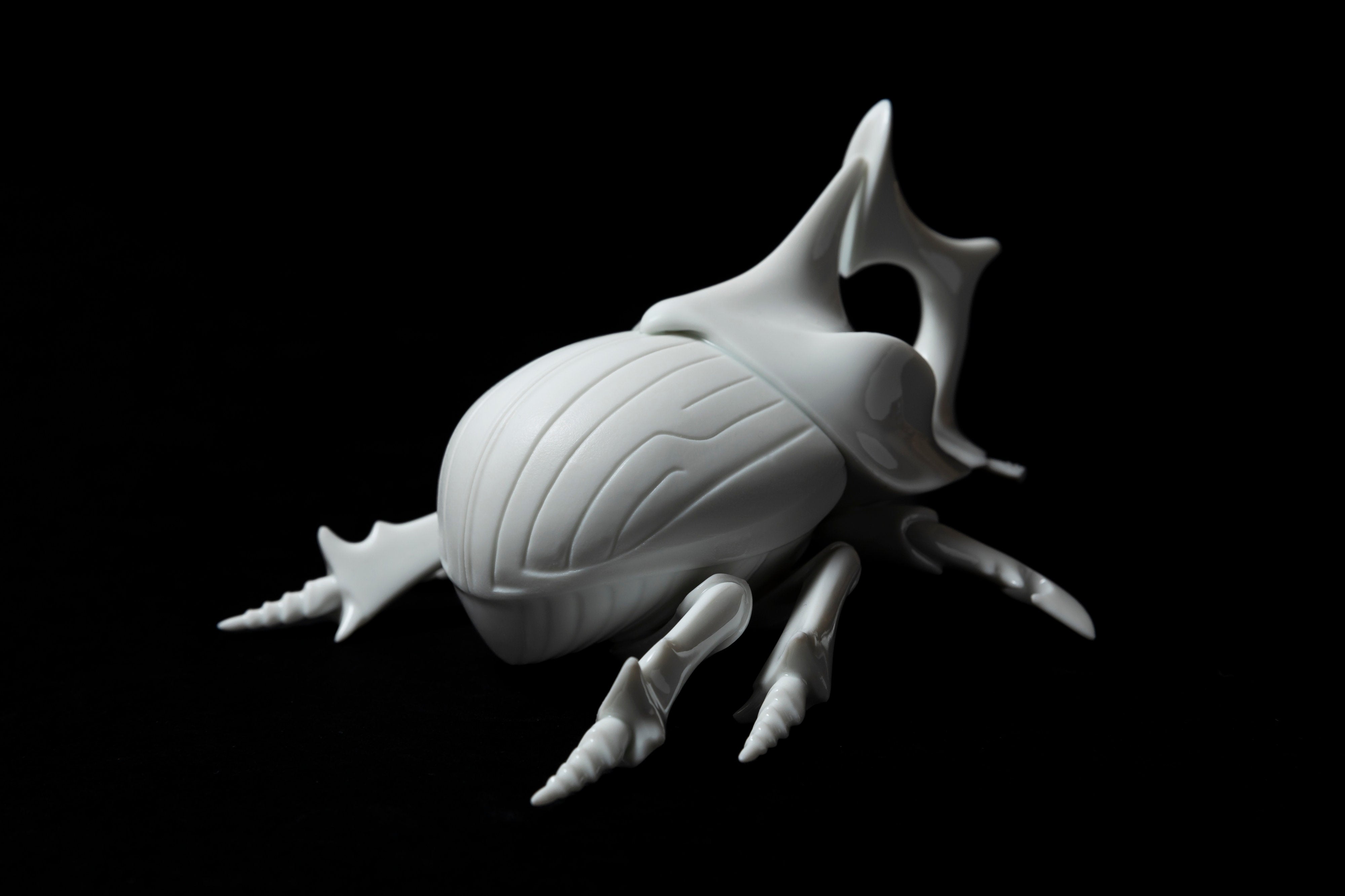 White Horned dung beetleΔ20 | 堀 貴春