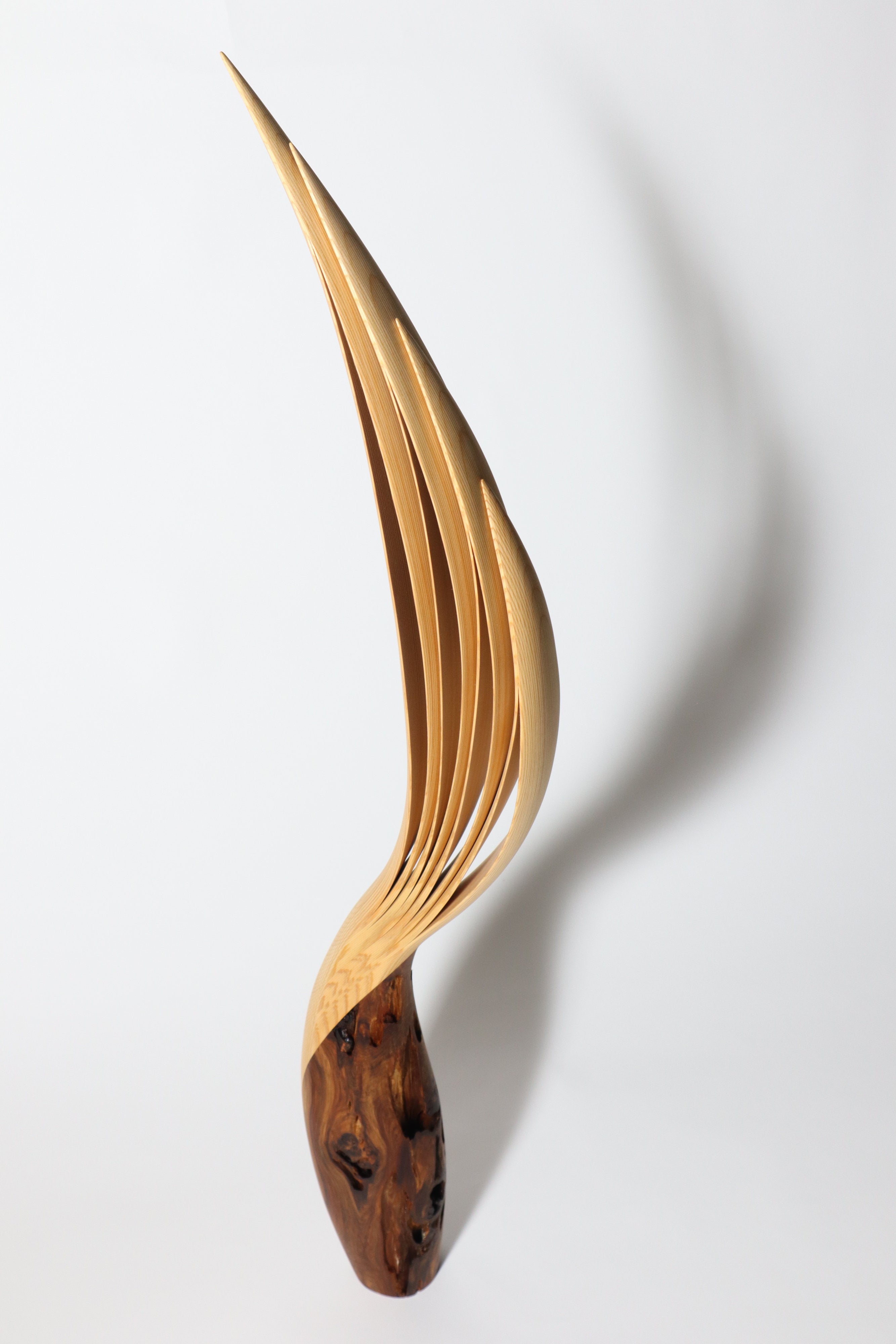 「飛翔」 | 平井 健太