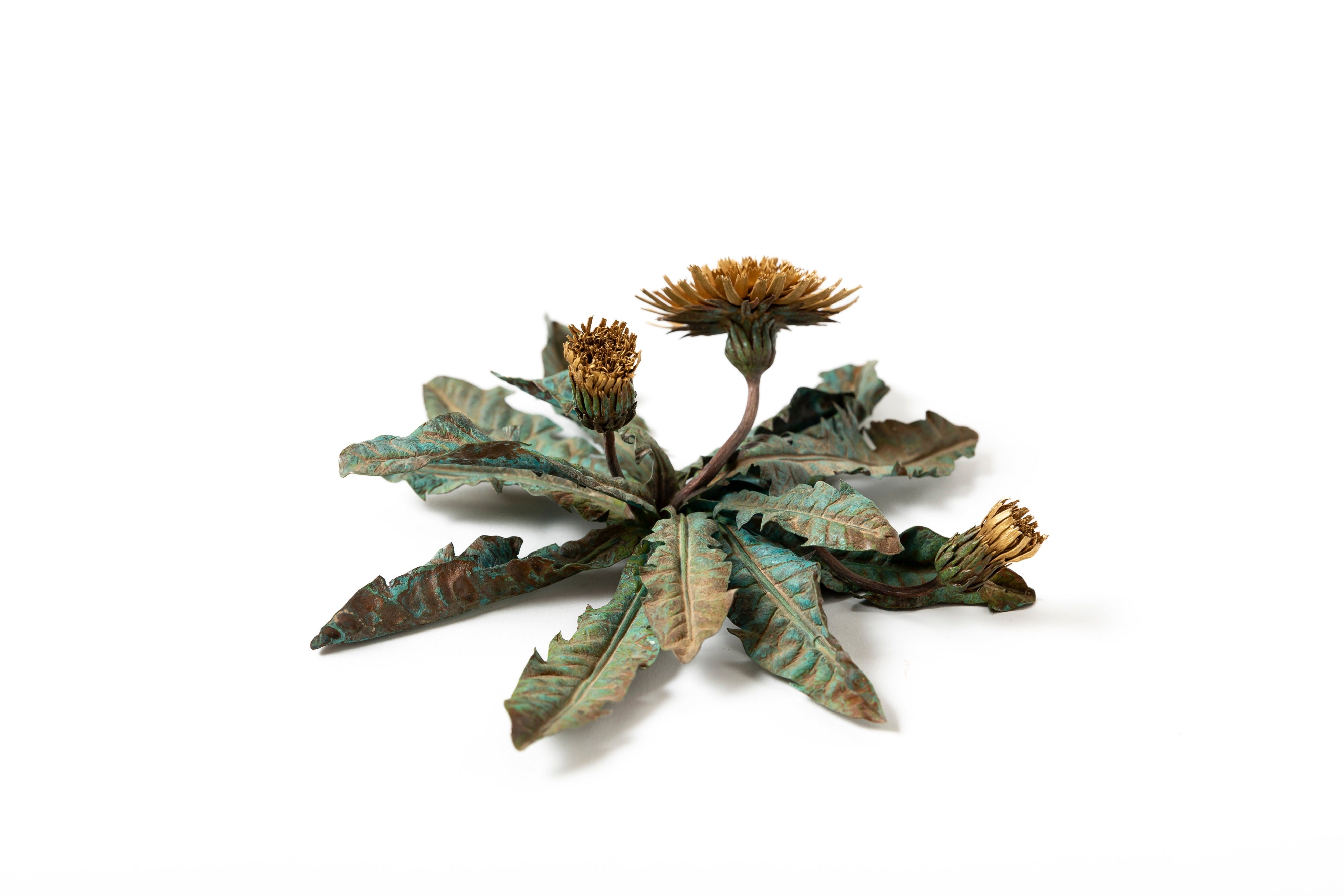 「旅の記憶 :35.01xx° N, 135.67xx° E — Dandelion」 | 鈴木 祥太