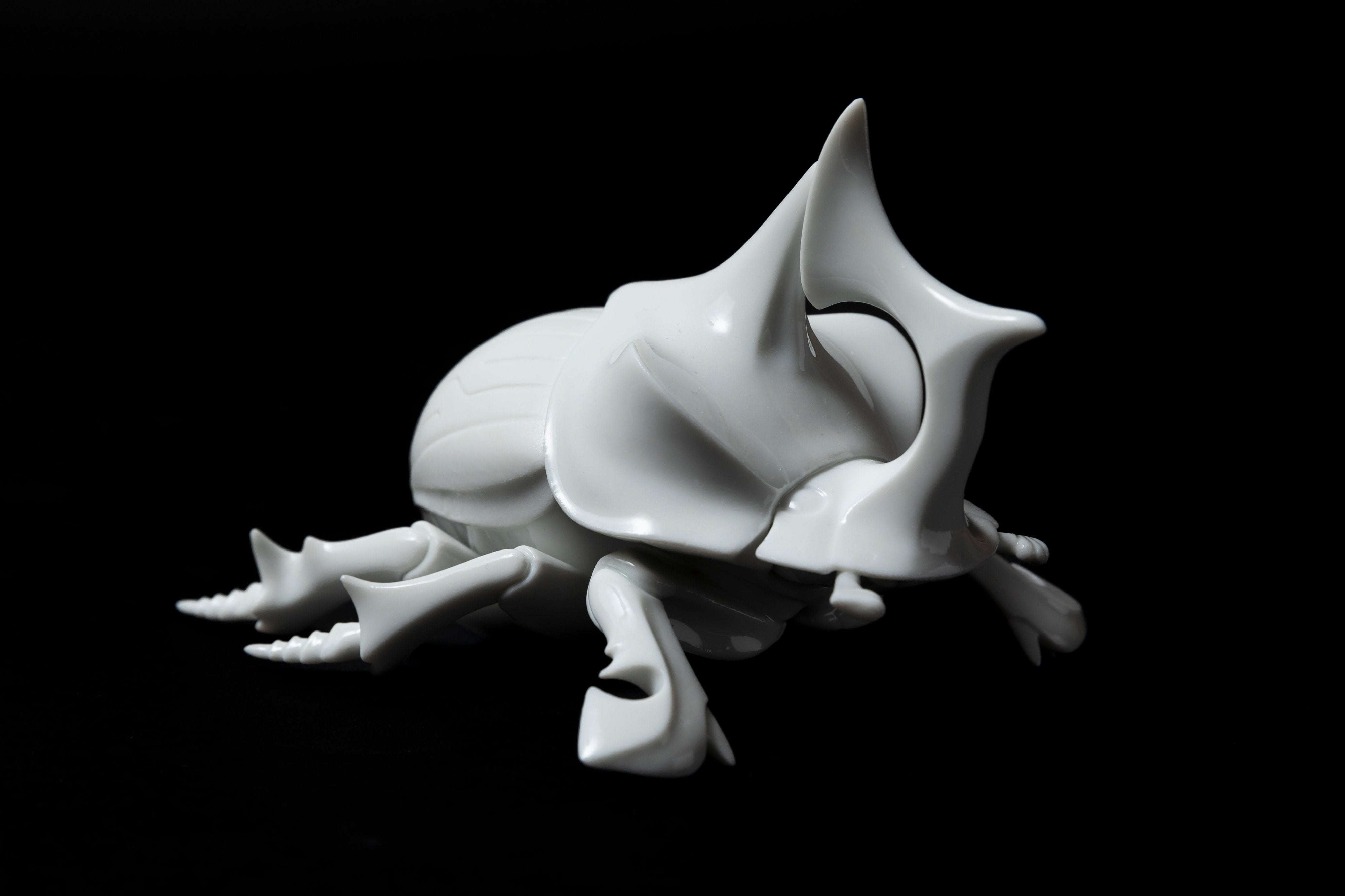 White Horned dung beetleΔ20 | 堀 貴春