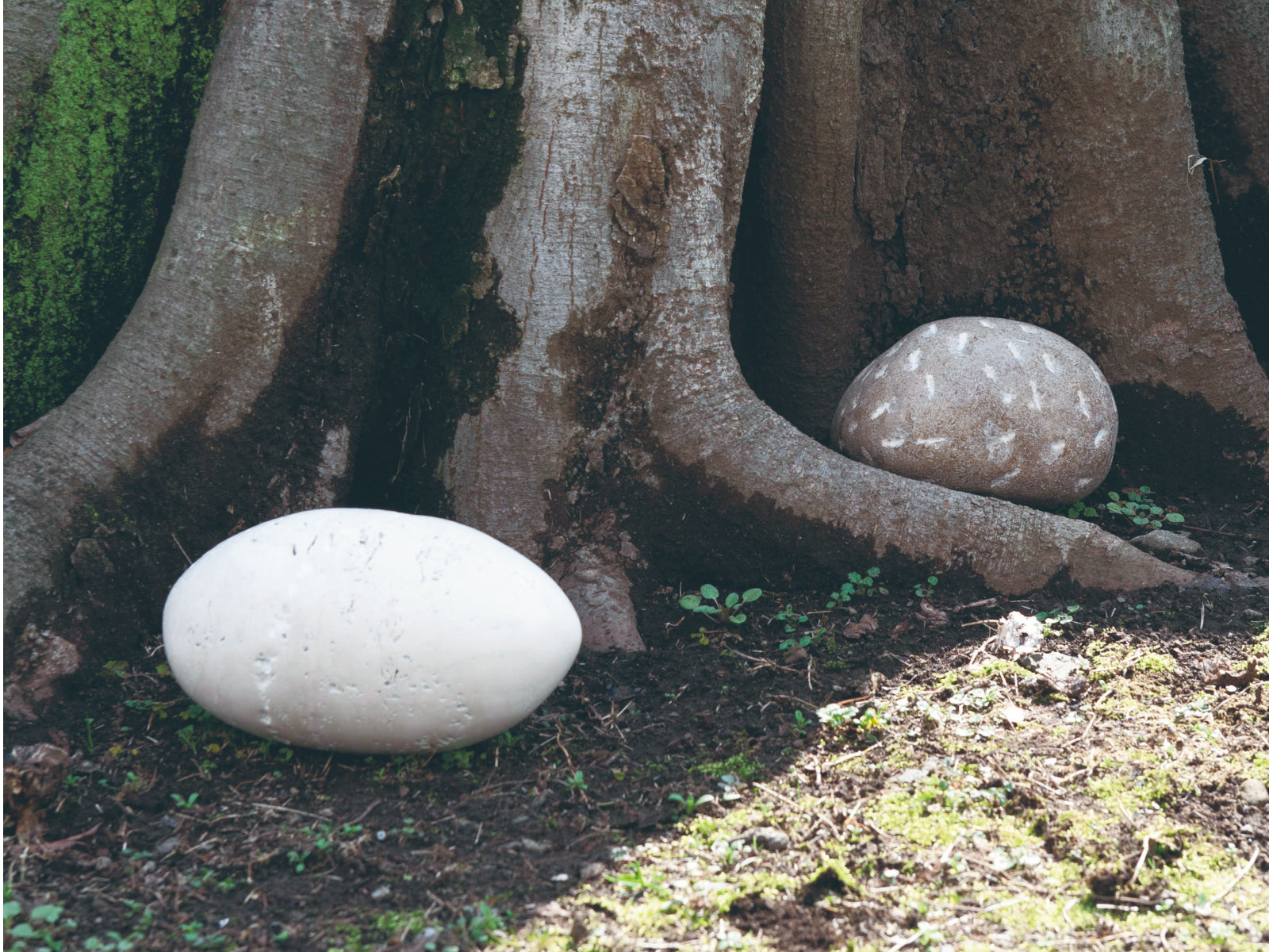 Sphere | 冨長 敦也|Atsuya Tominaga