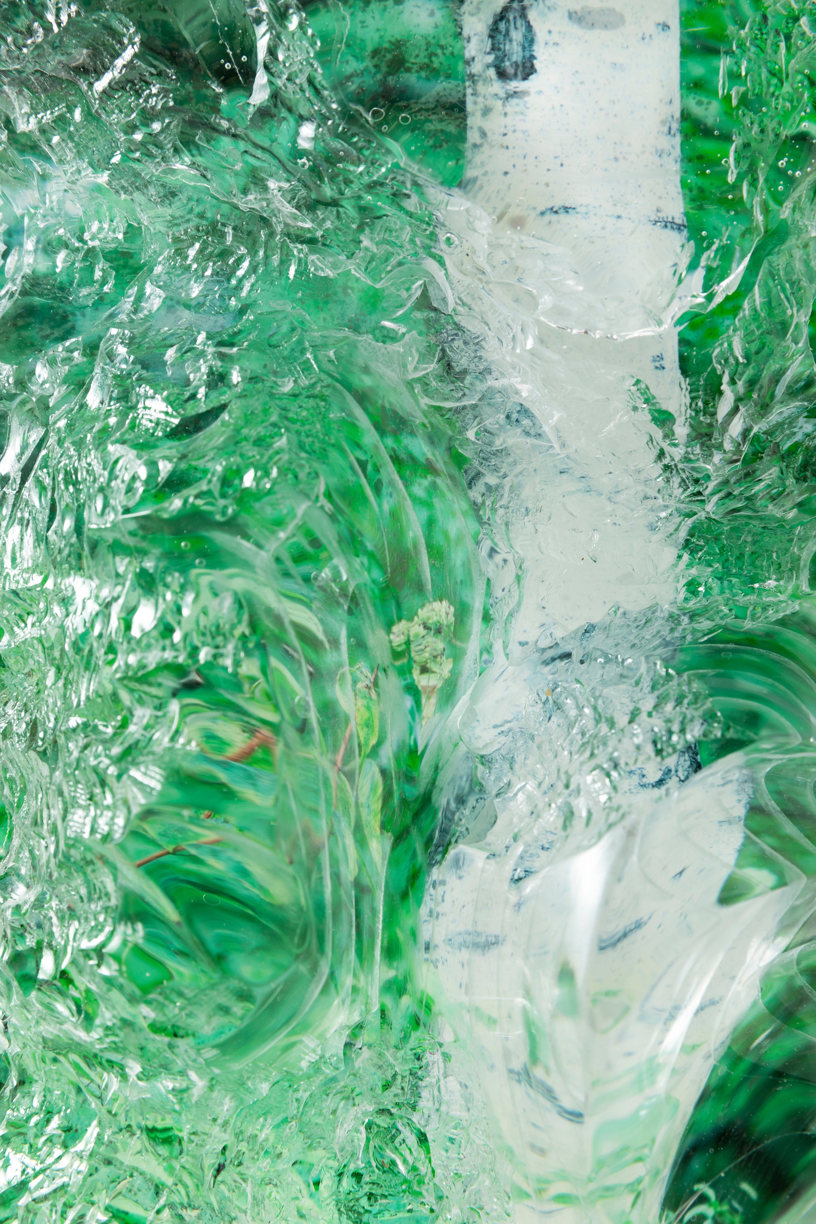 習作 | 中野 優太