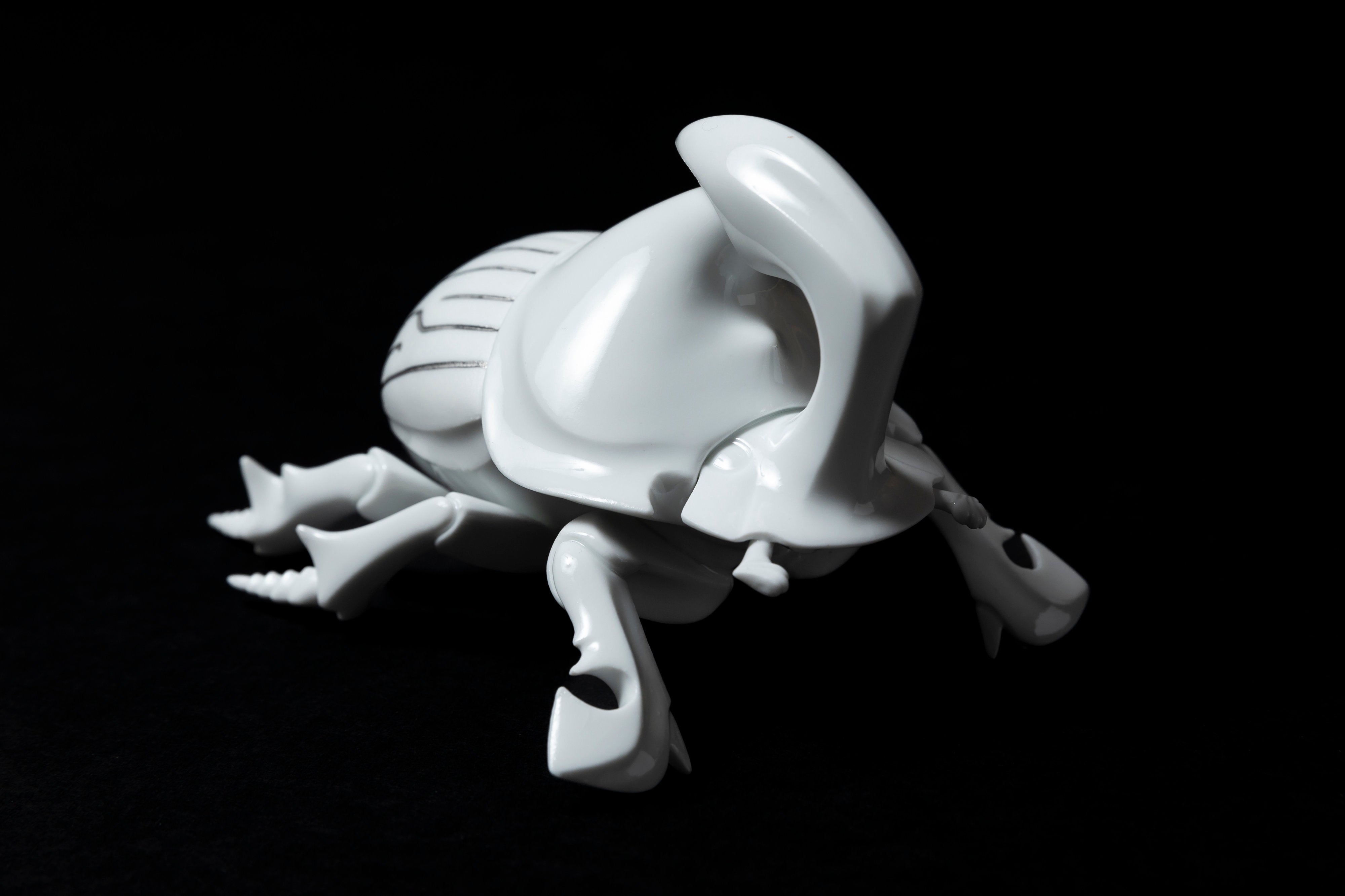 White Horned dung beetle P23 | 堀 貴春