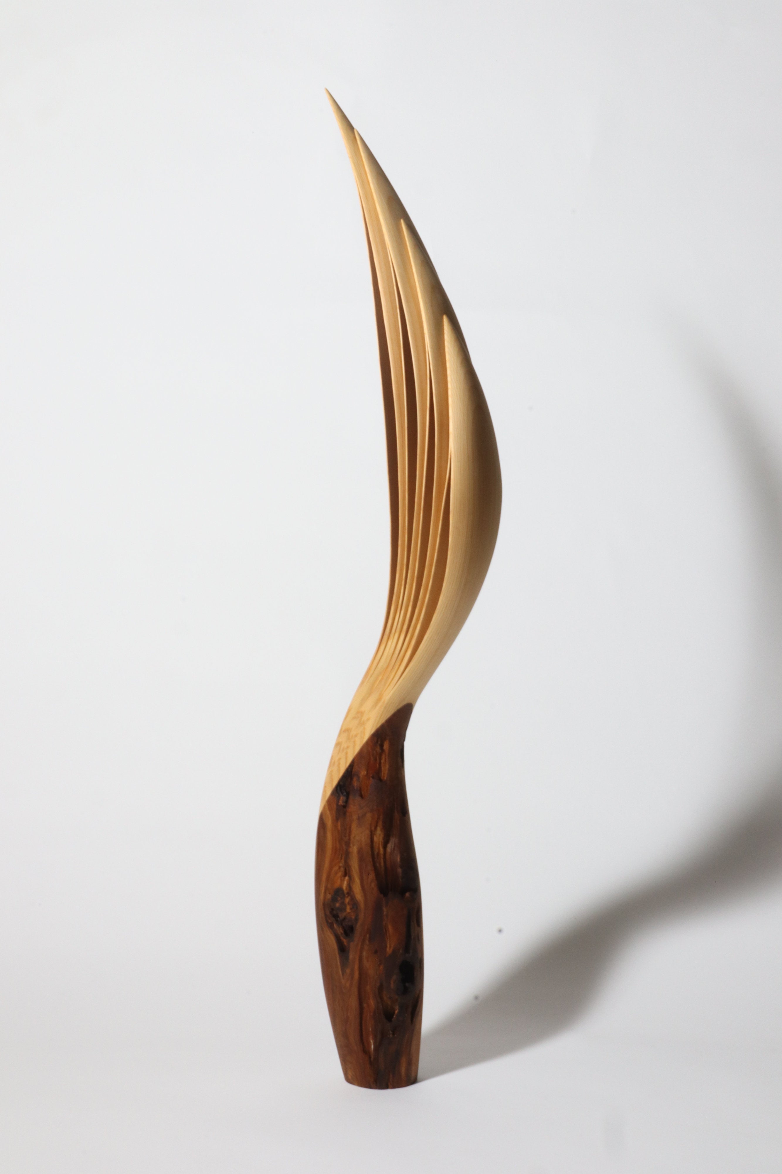 「飛翔」 | 平井 健太