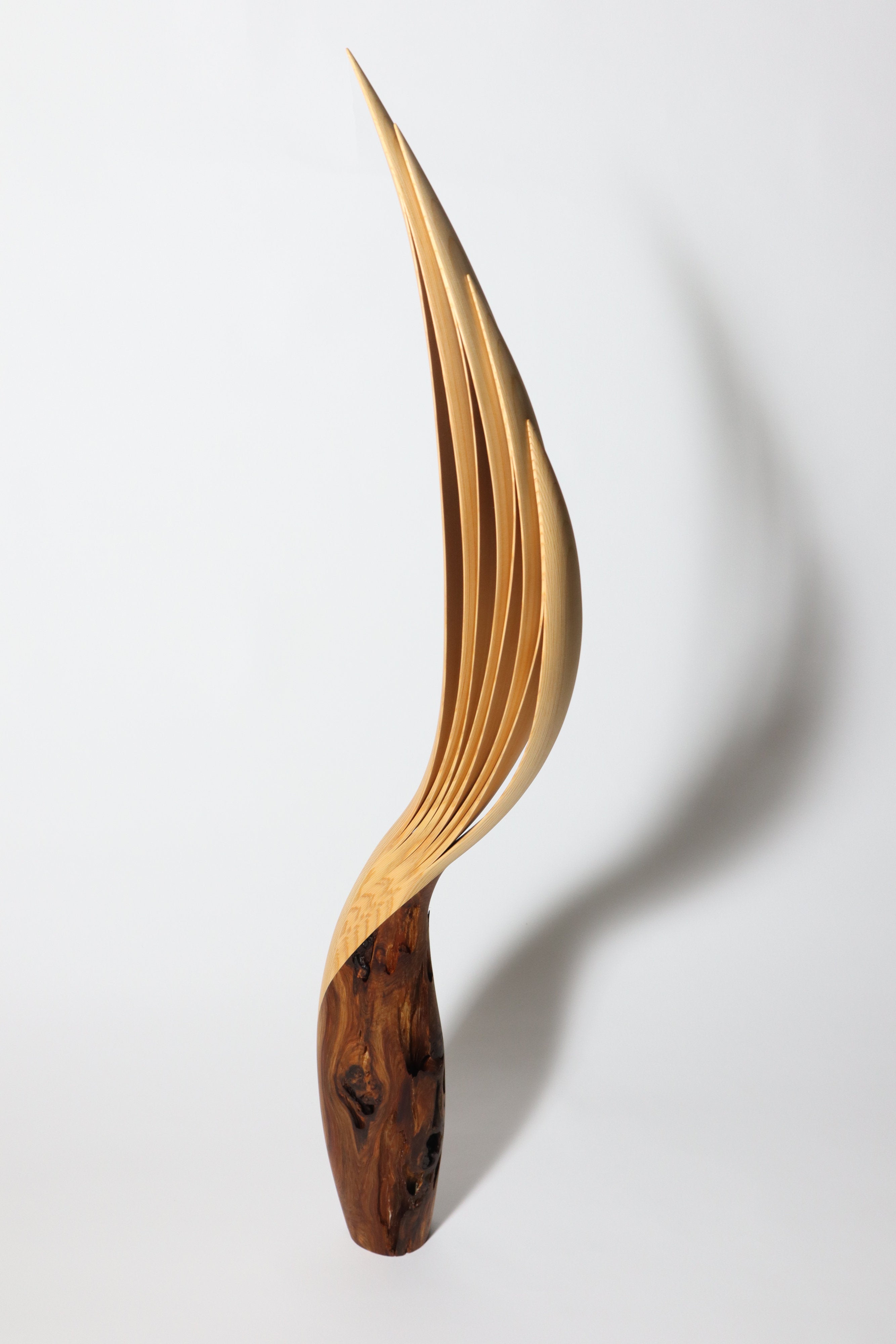 「飛翔」 | 平井 健太