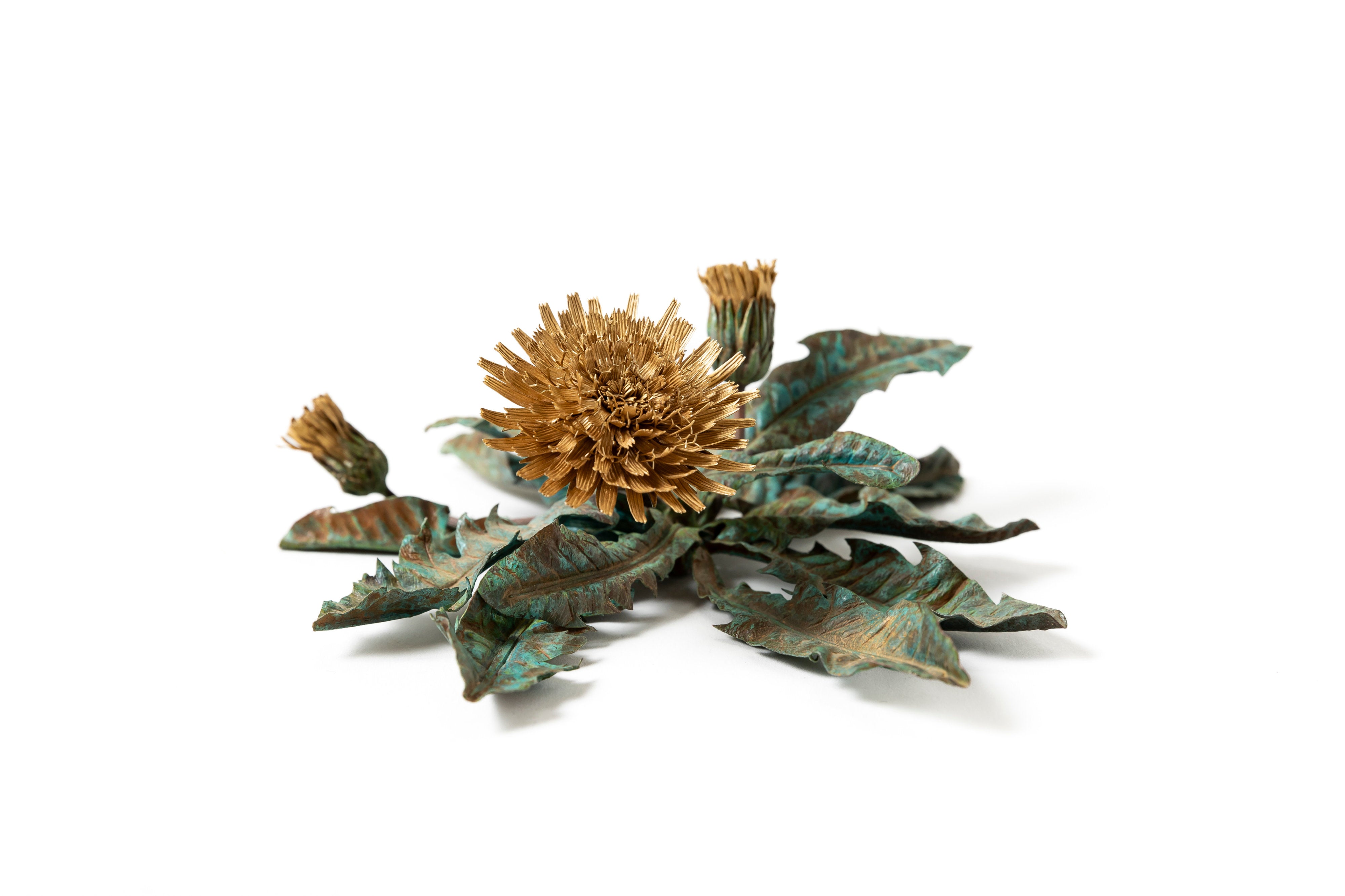 「旅の記憶 :35.01xx° N, 135.67xx° E — Dandelion」 | 鈴木 祥太