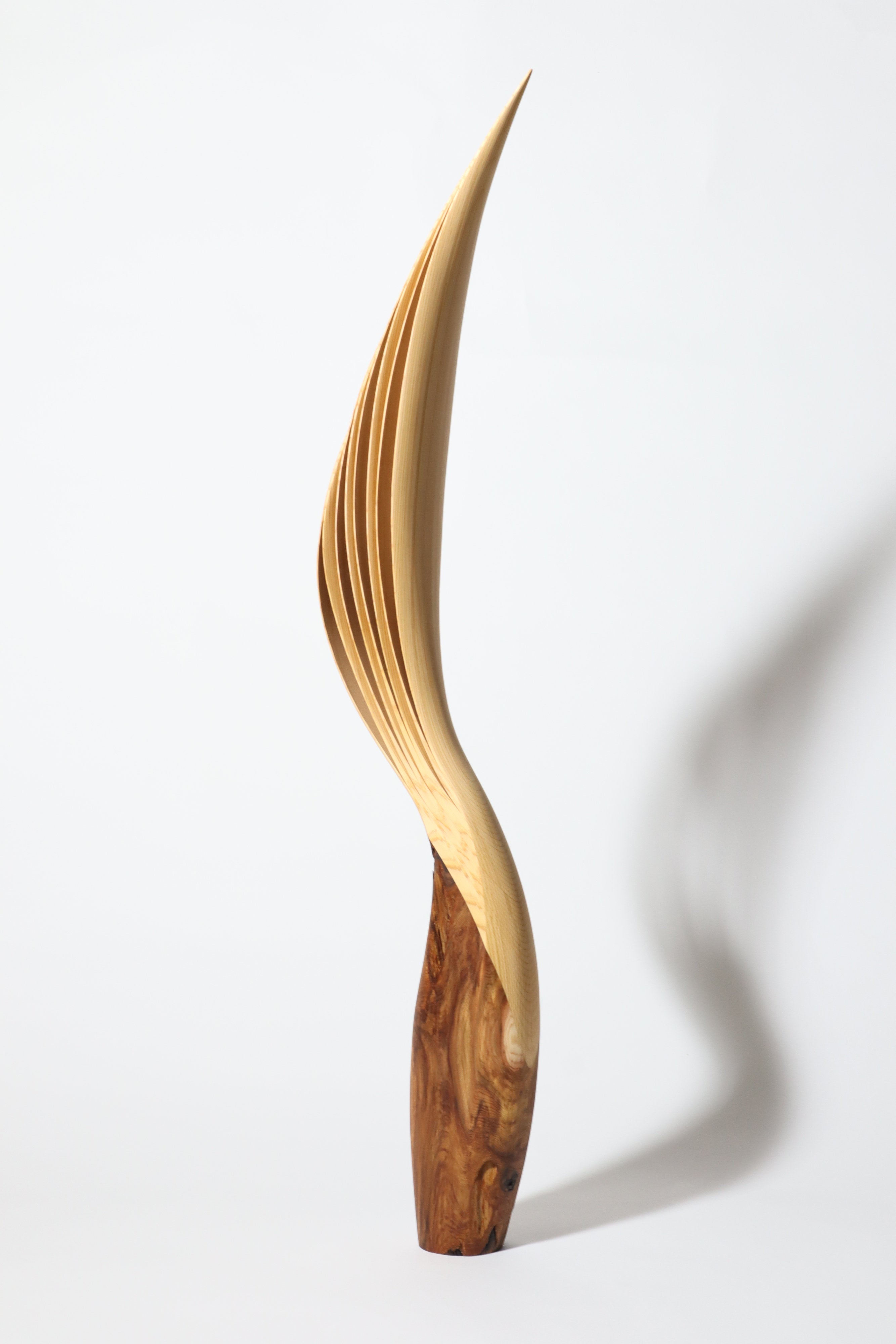 「飛翔」 | 平井 健太