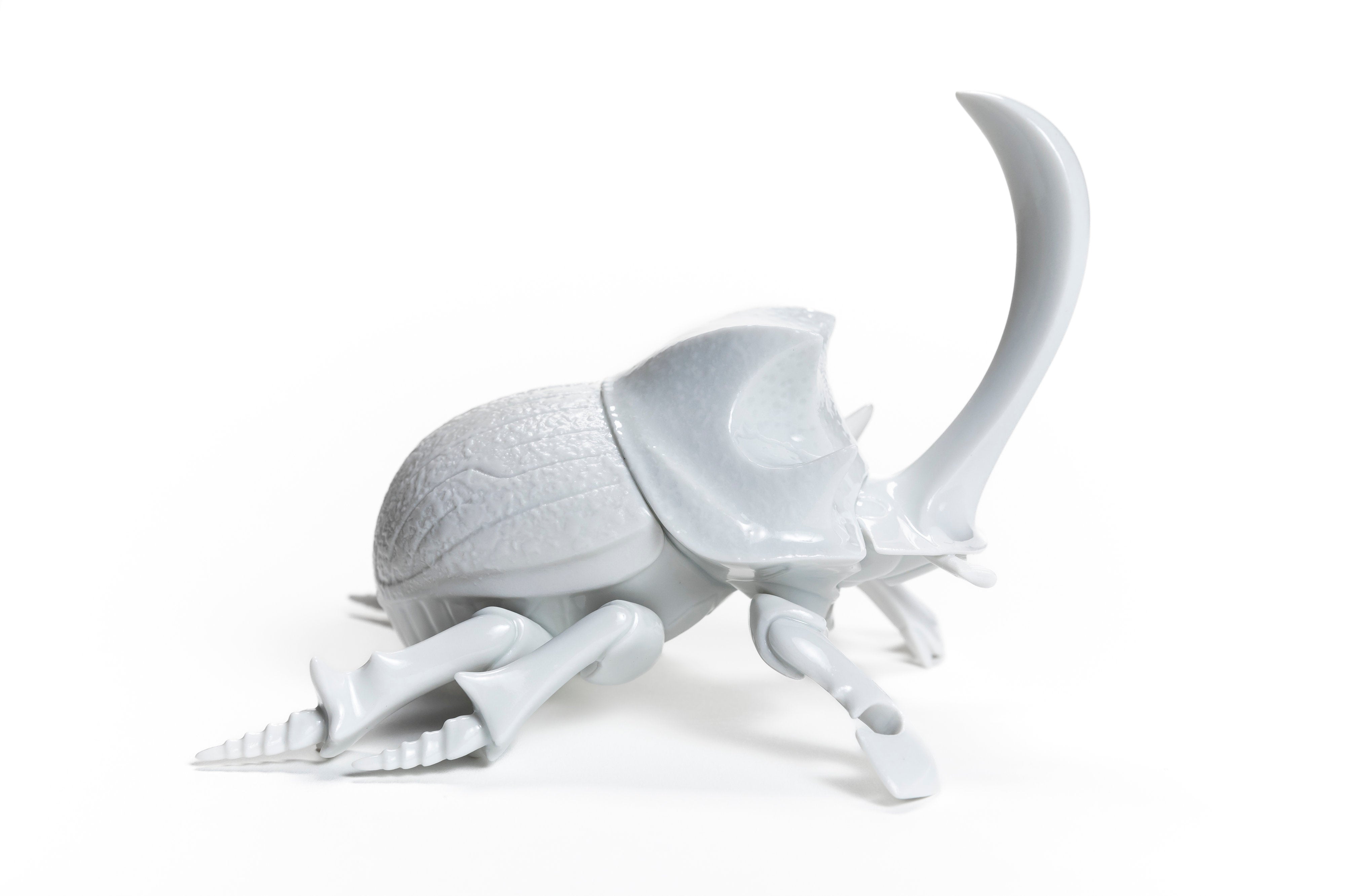 White Horned dung beetleΩ20 | 堀 貴春