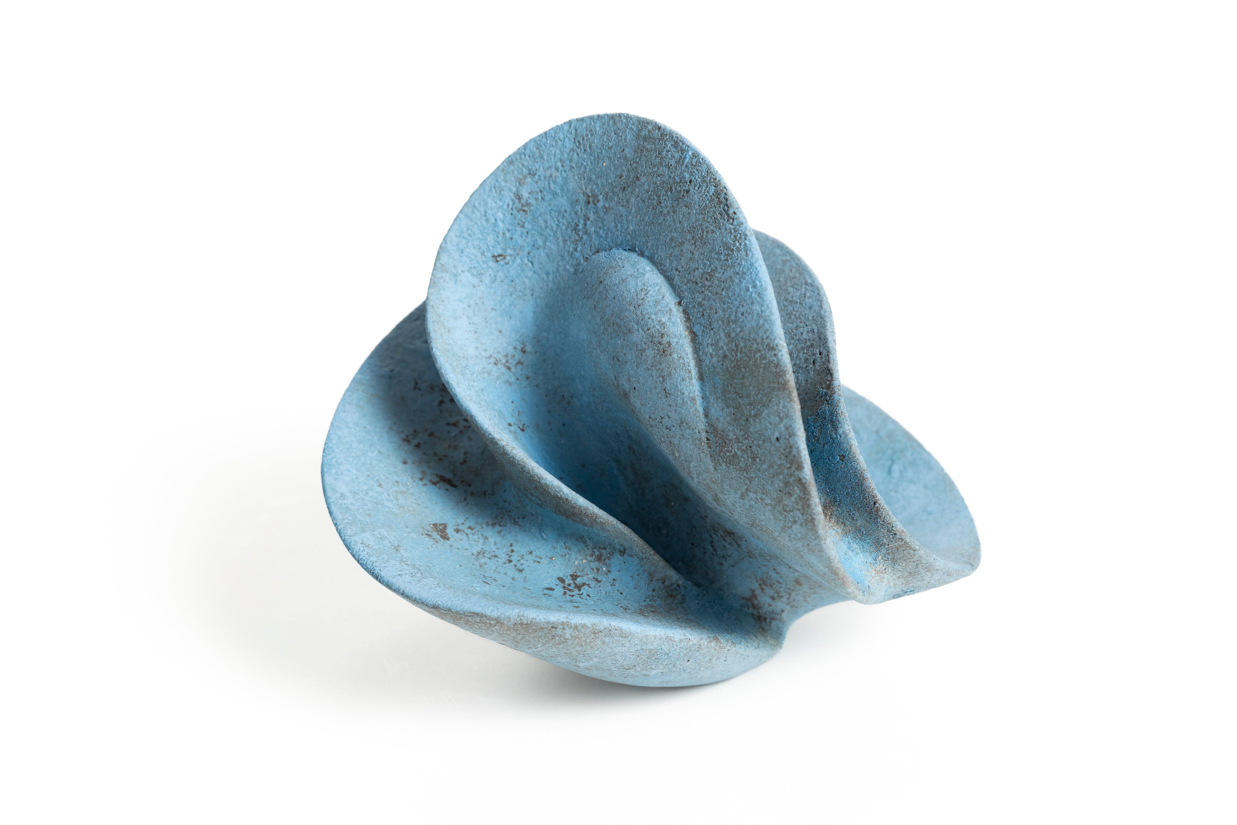 宙の種(そらのたね) | 竹村 友里