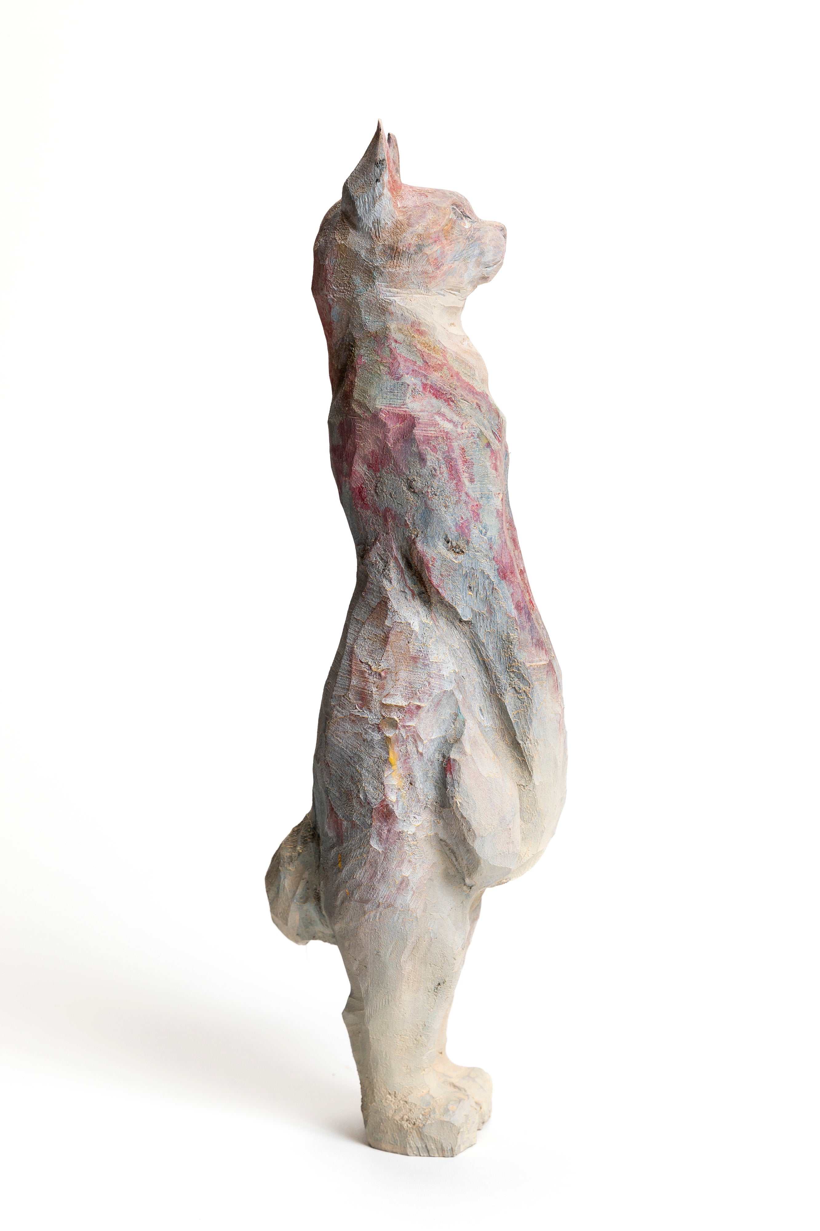 NEKO | 十時 孝好