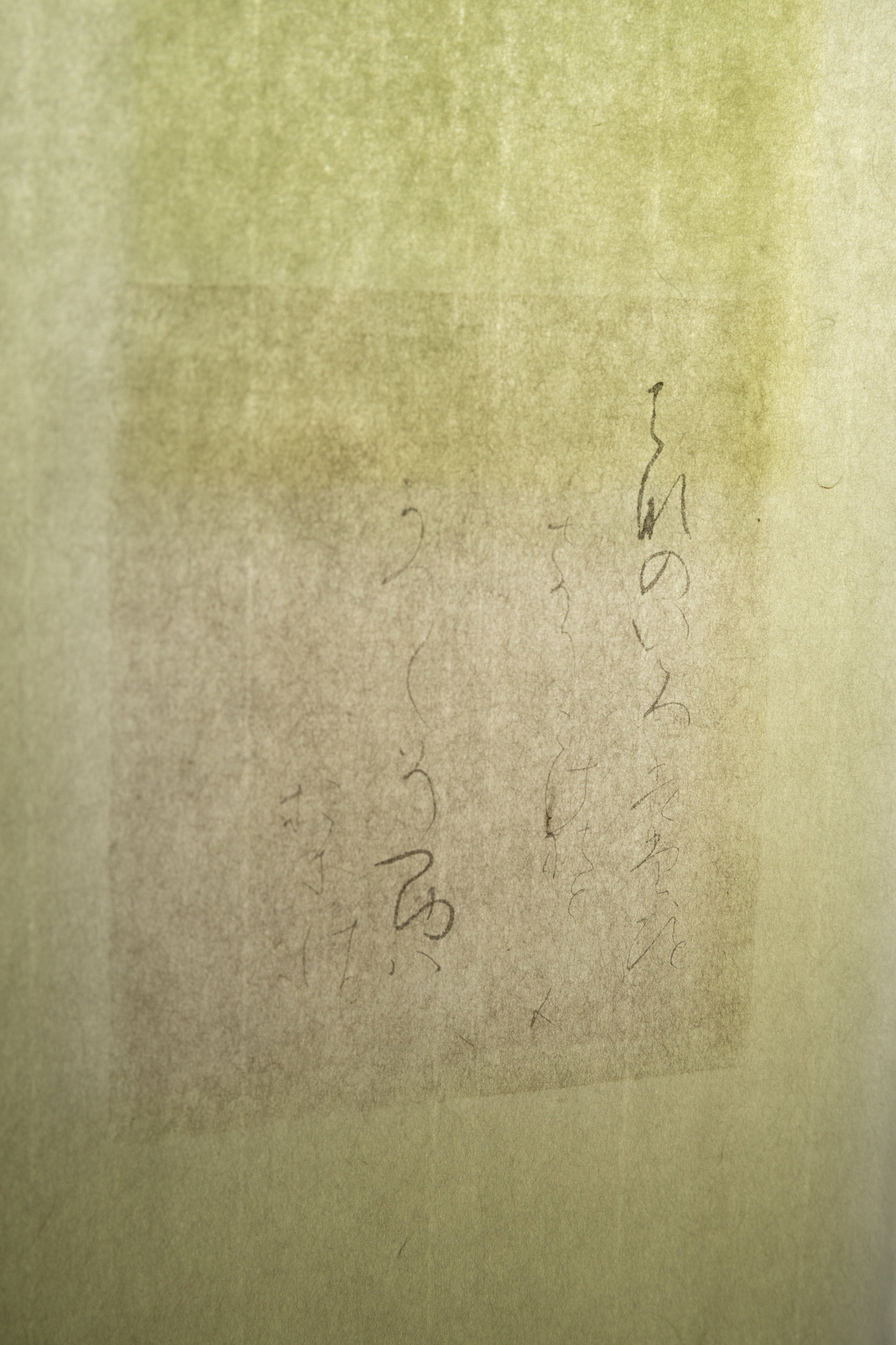 透けわし | 箕浦 敬子