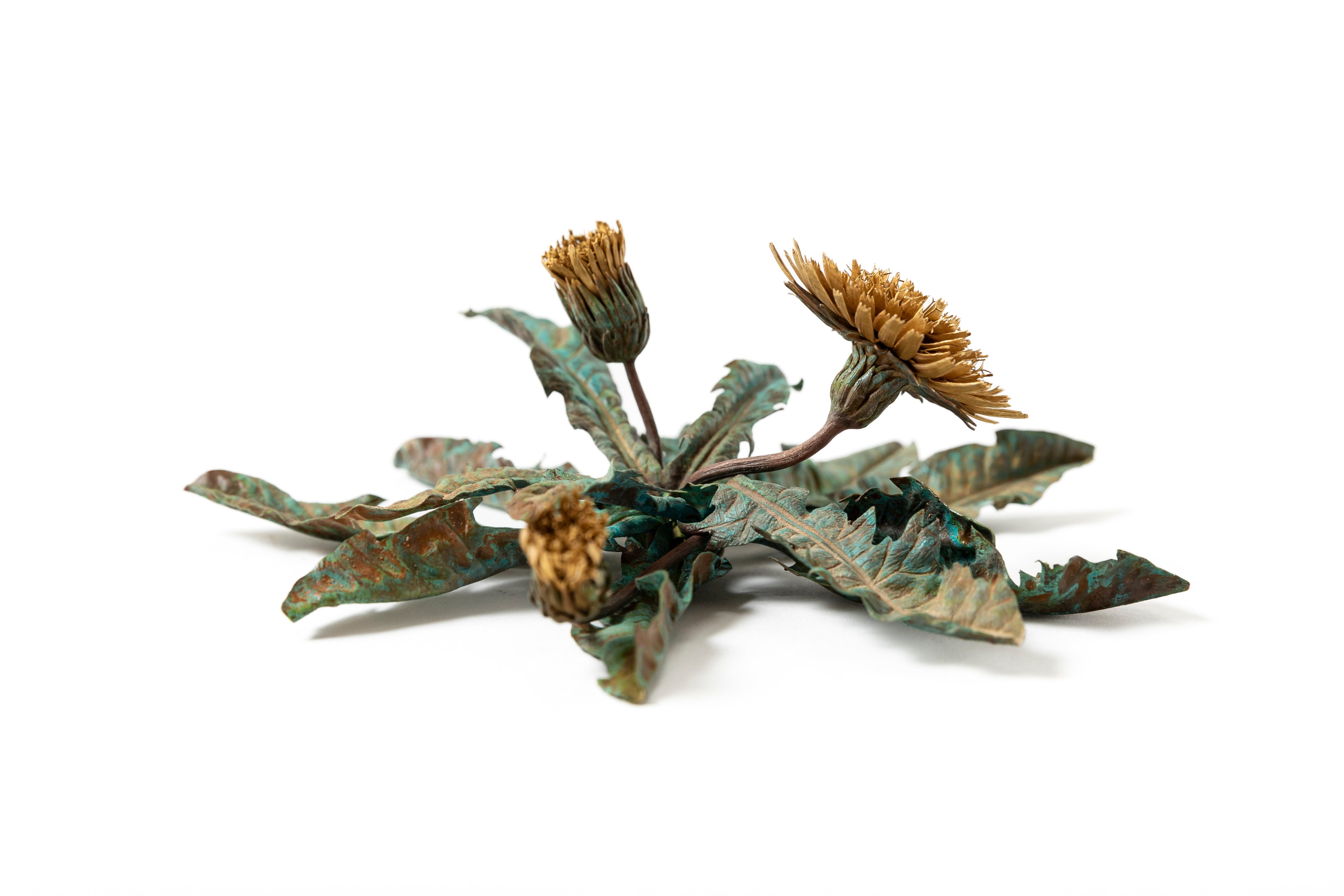 「旅の記憶 :35.01xx° N, 135.67xx° E — Dandelion」 | 鈴木 祥太