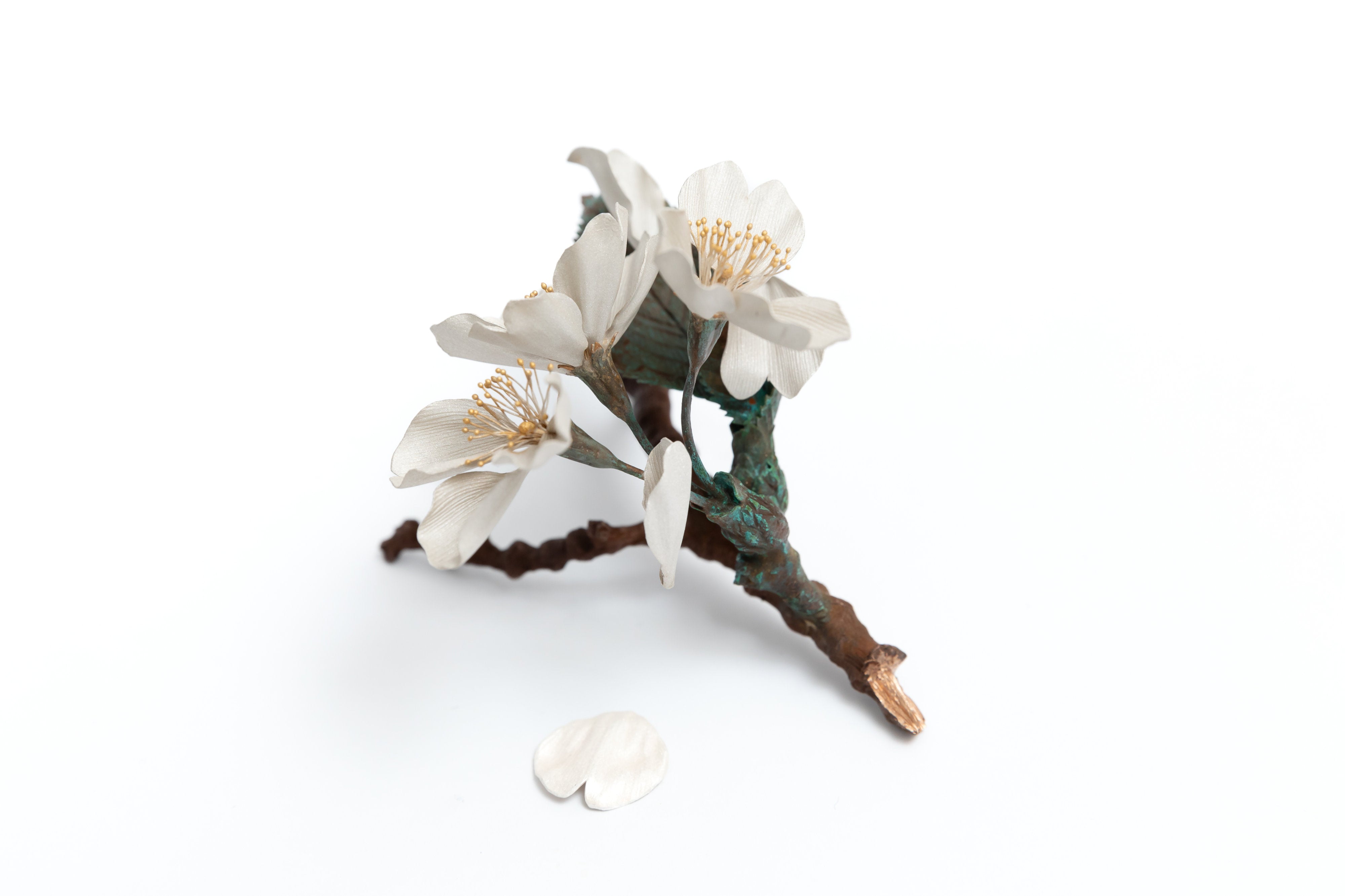 桜|鈴木祥太