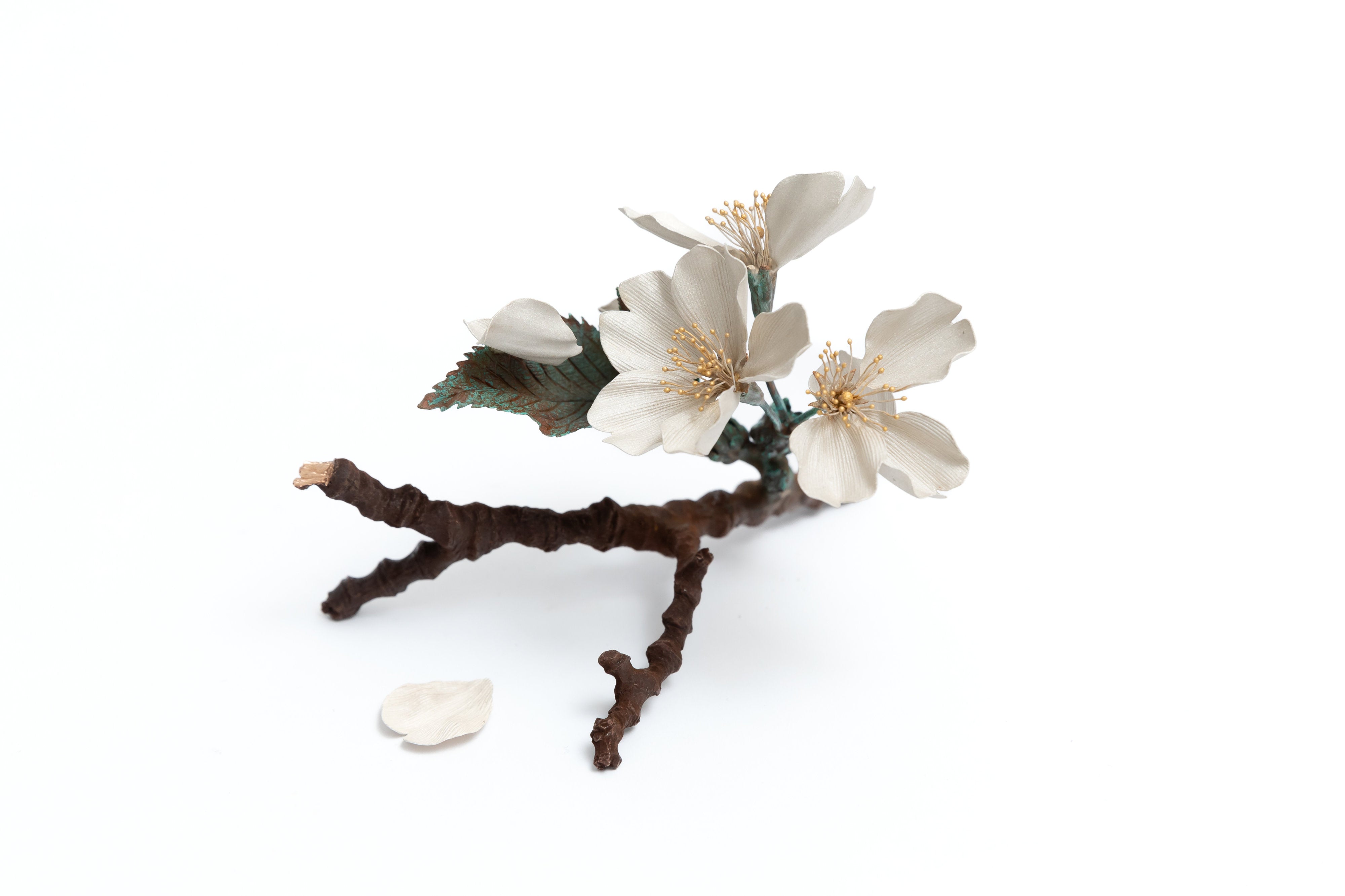 桜|鈴木祥太