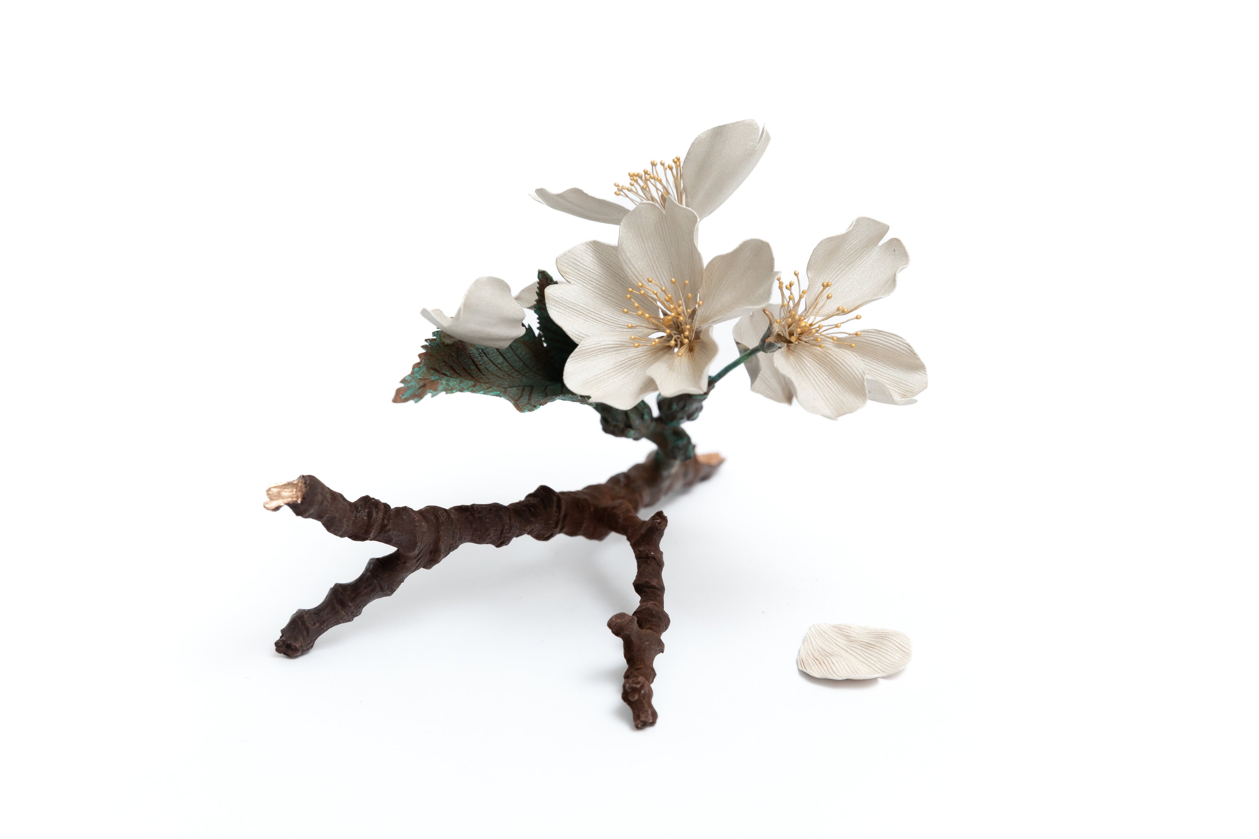 桜|鈴木祥太