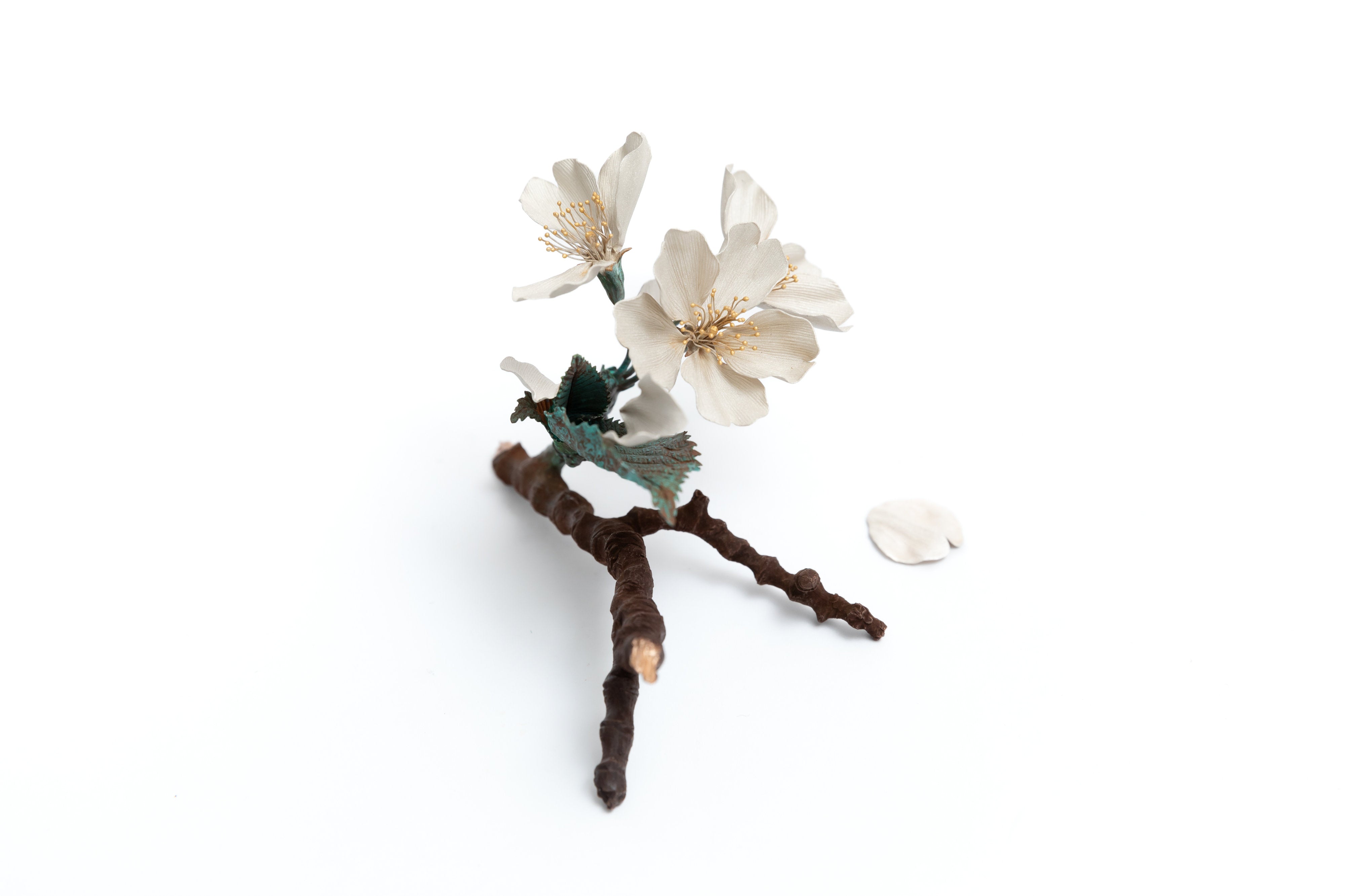 桜|鈴木祥太
