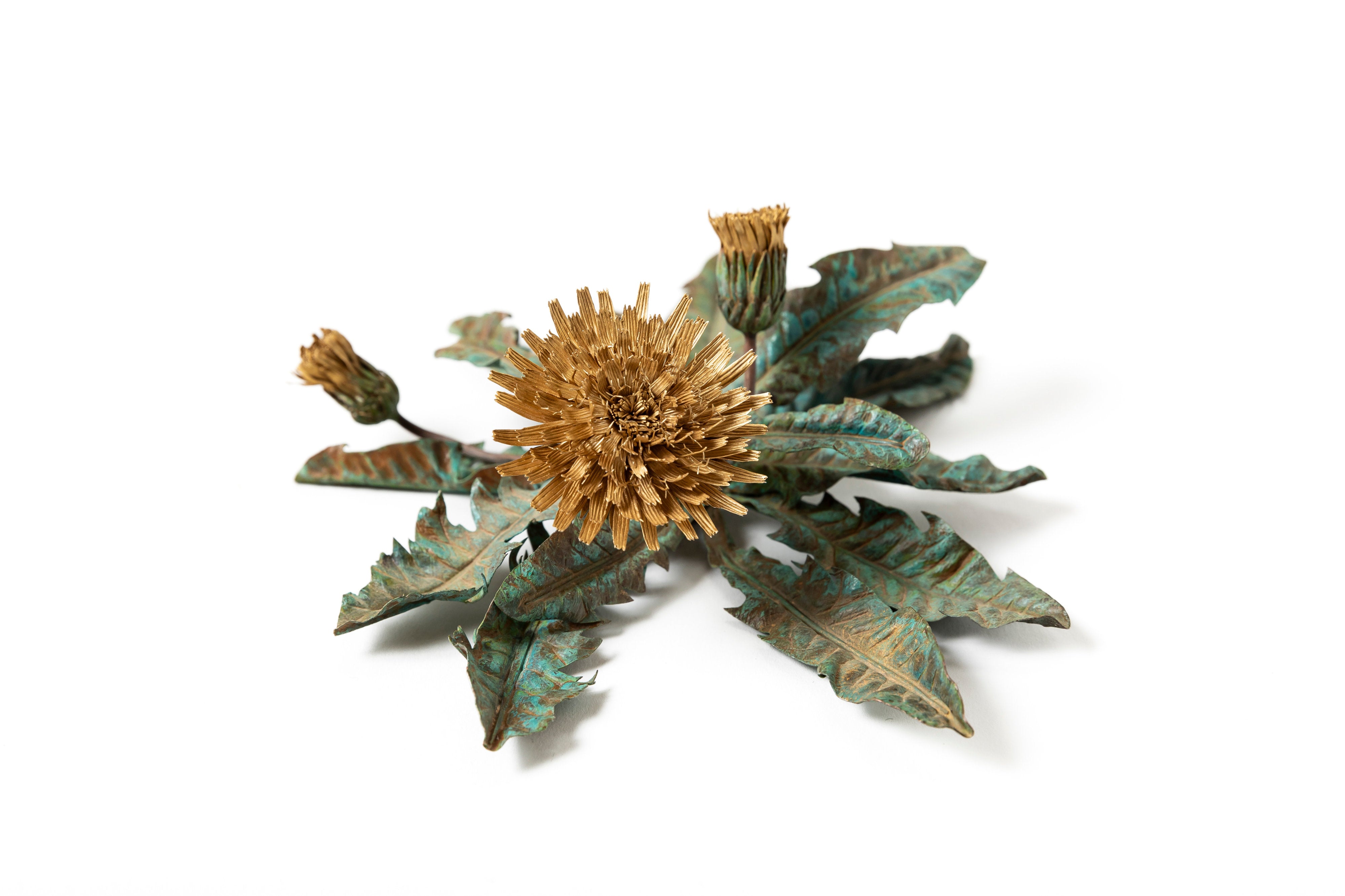 「旅の記憶 :35.01xx° N, 135.67xx° E — Dandelion」 | 鈴木 祥太