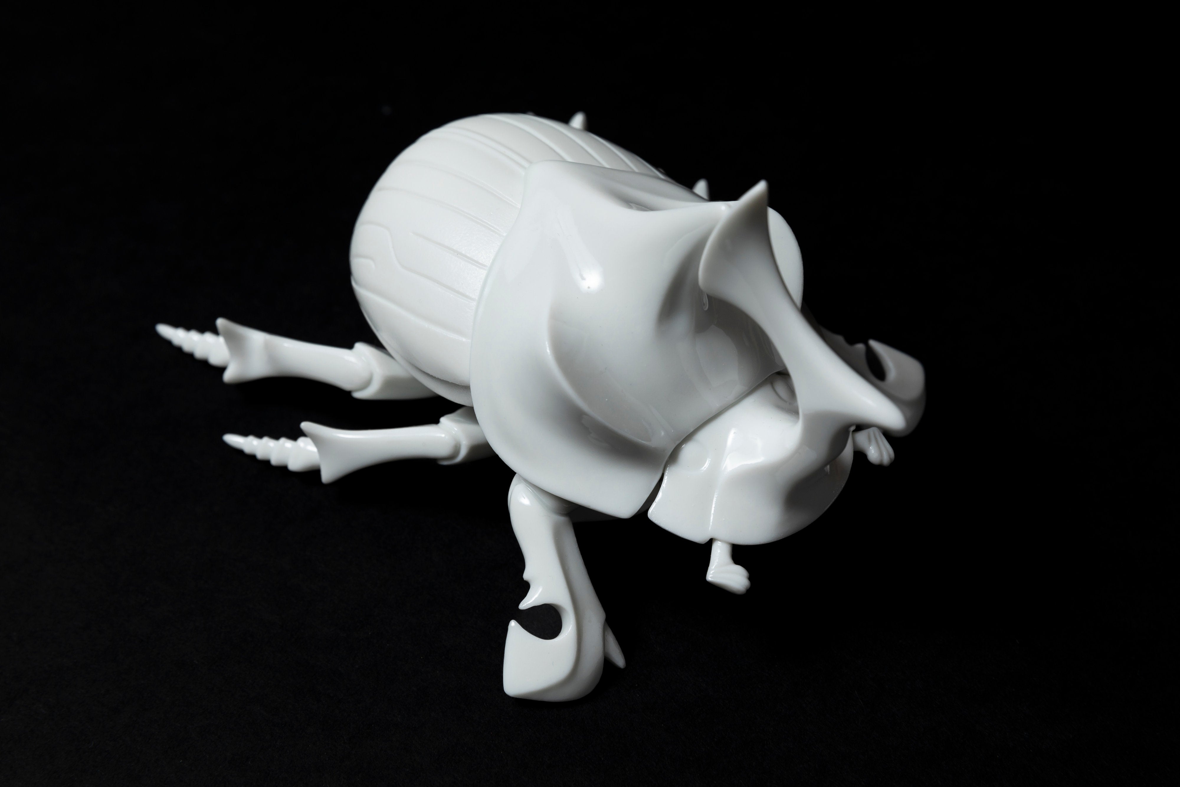 White Horned dung beetleΔ20 | 堀 貴春