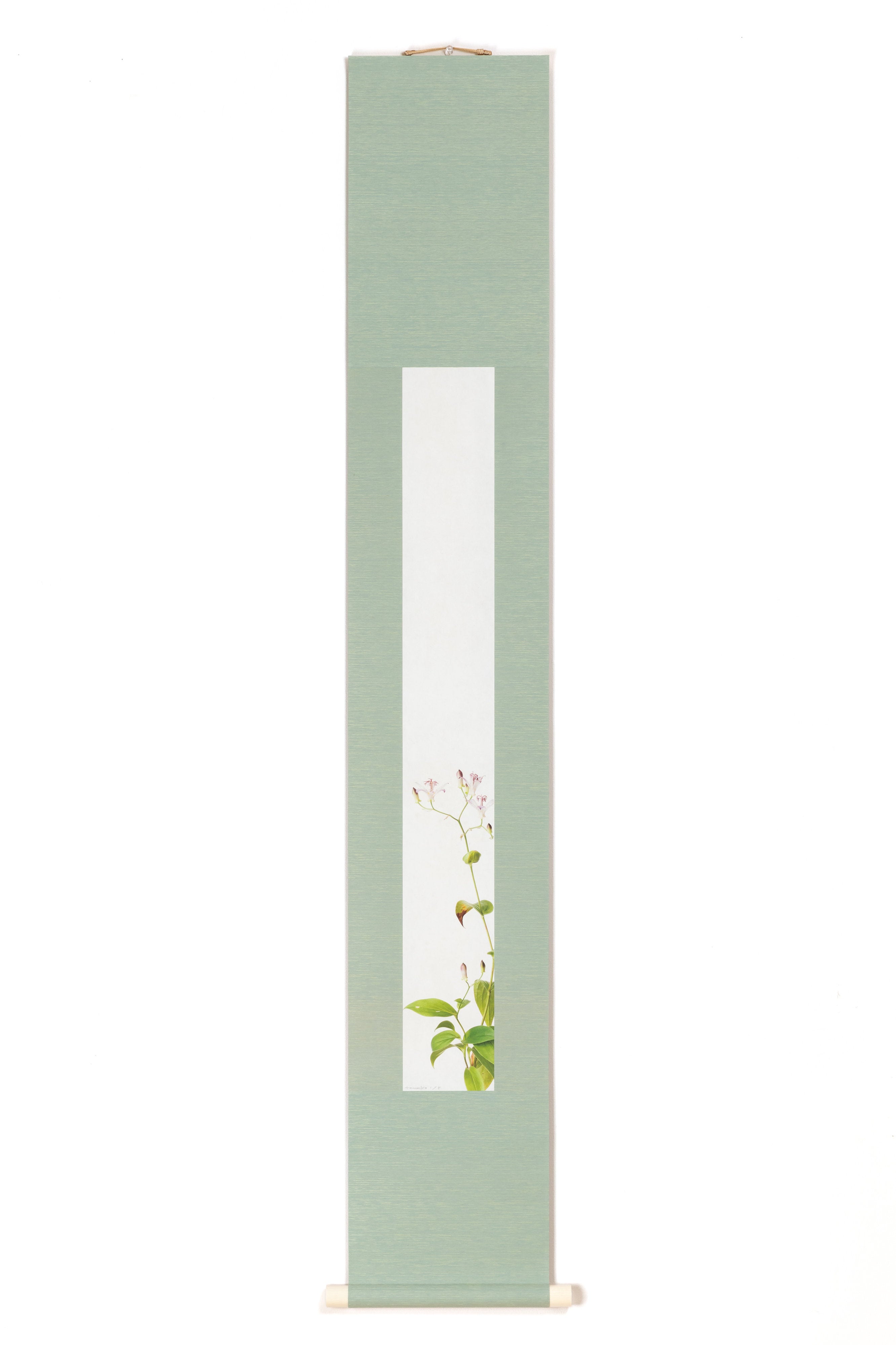 "Sakura (cherry blossom) 8" (1/15)