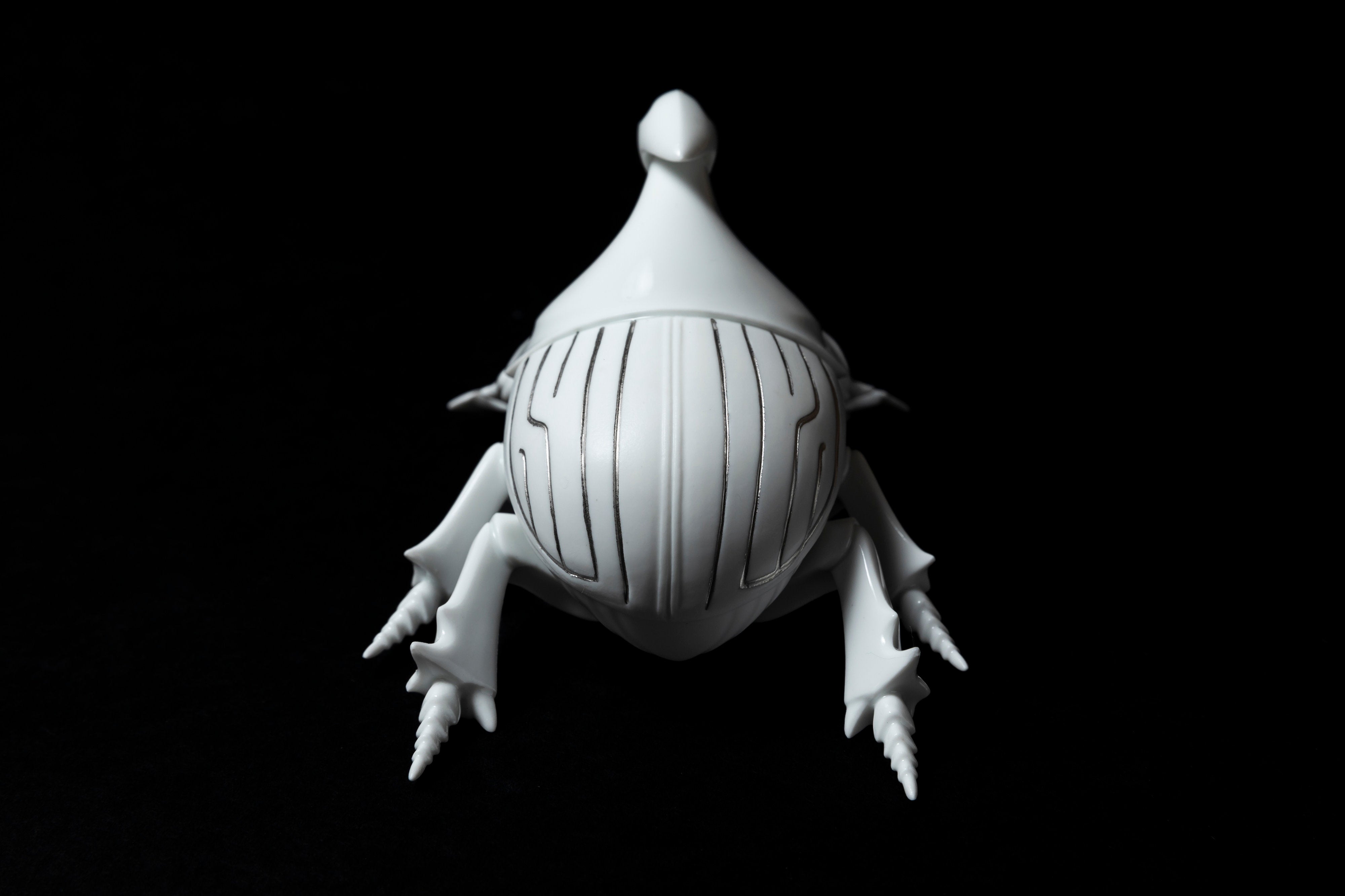 White Horned dung beetle P23 | 堀 貴春