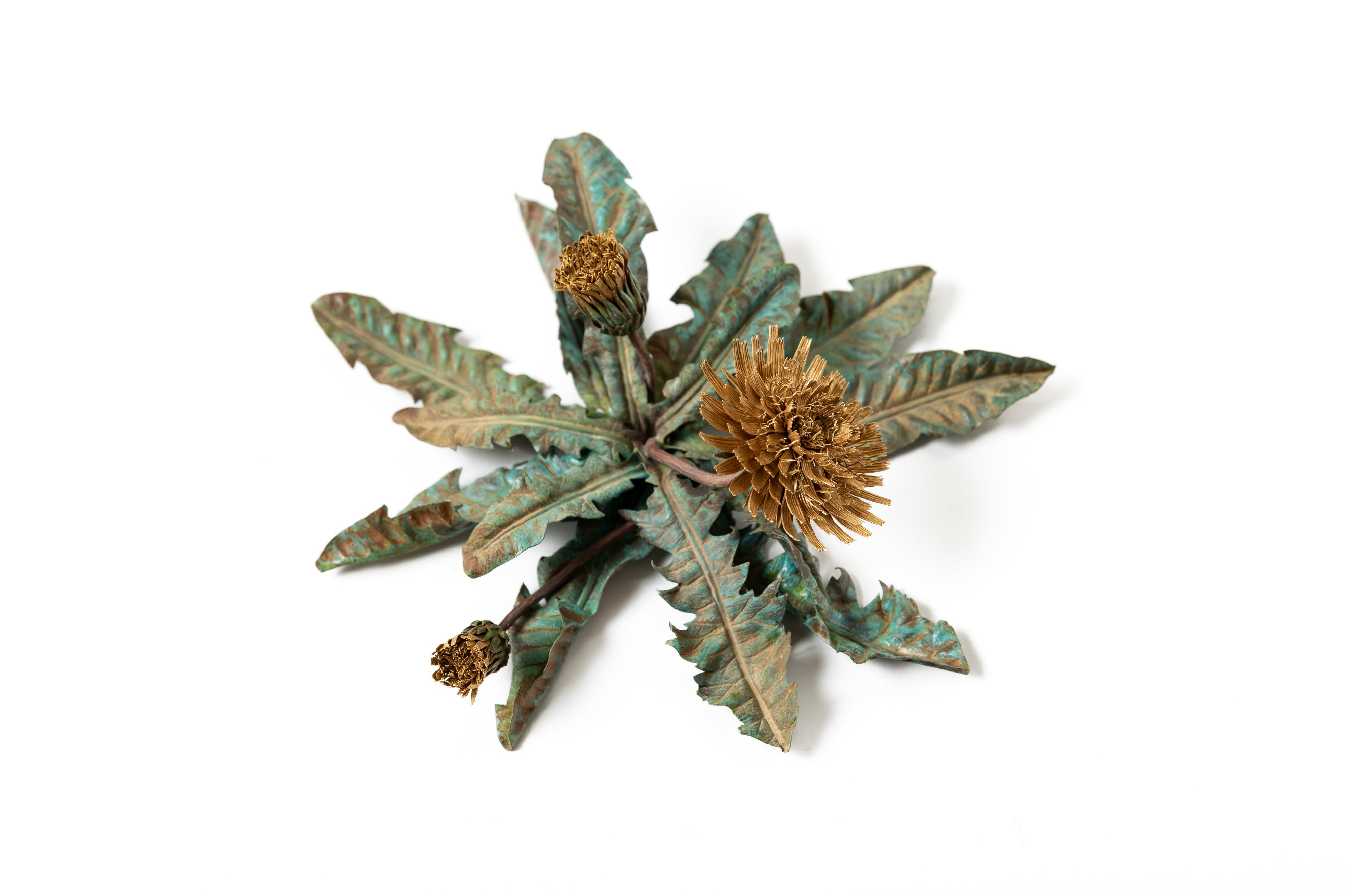 「旅の記憶 :35.01xx° N, 135.67xx° E — Dandelion」 | 鈴木 祥太