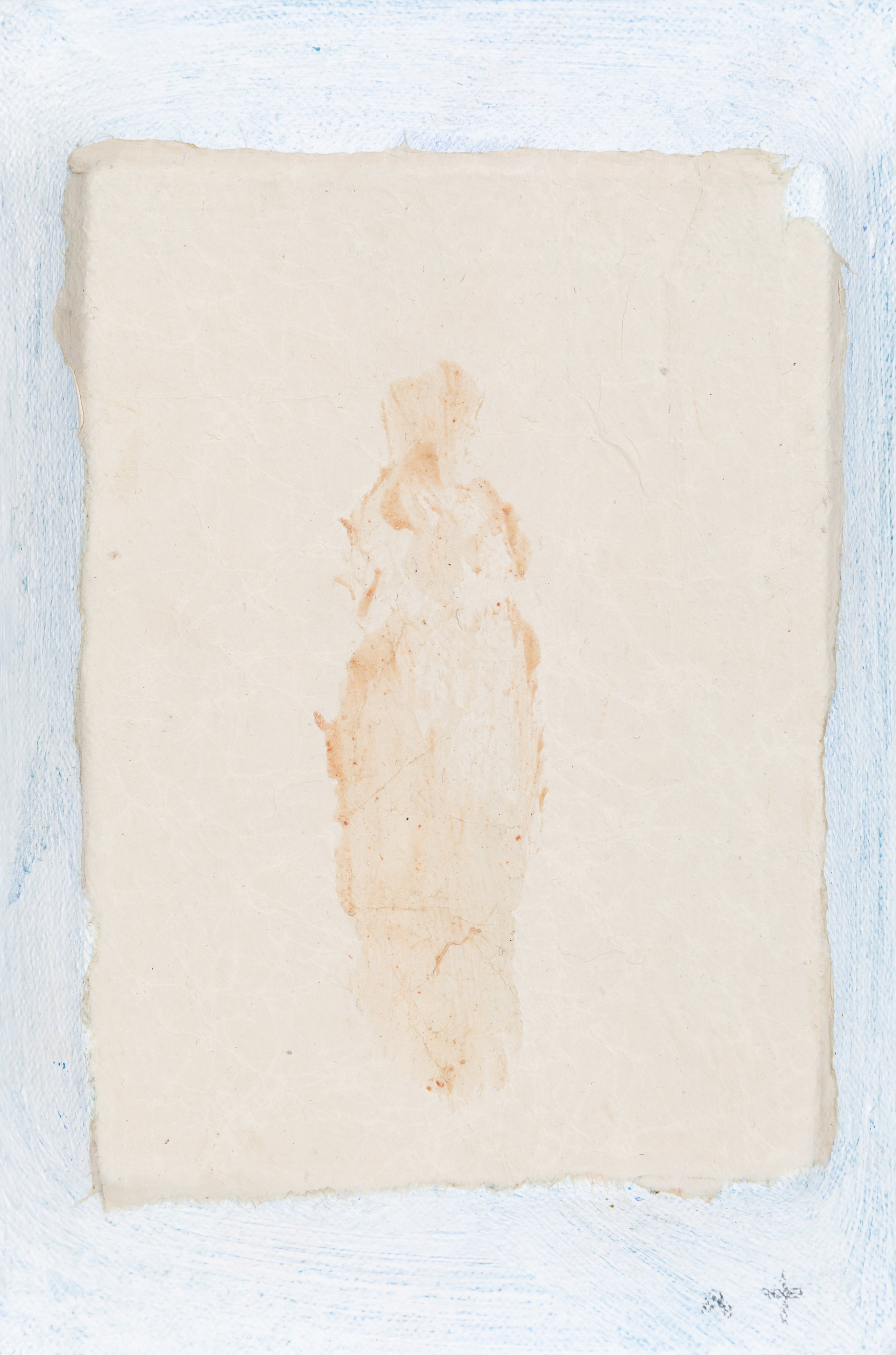 石素描 Stone Drawing#9 | 冨長 敦也