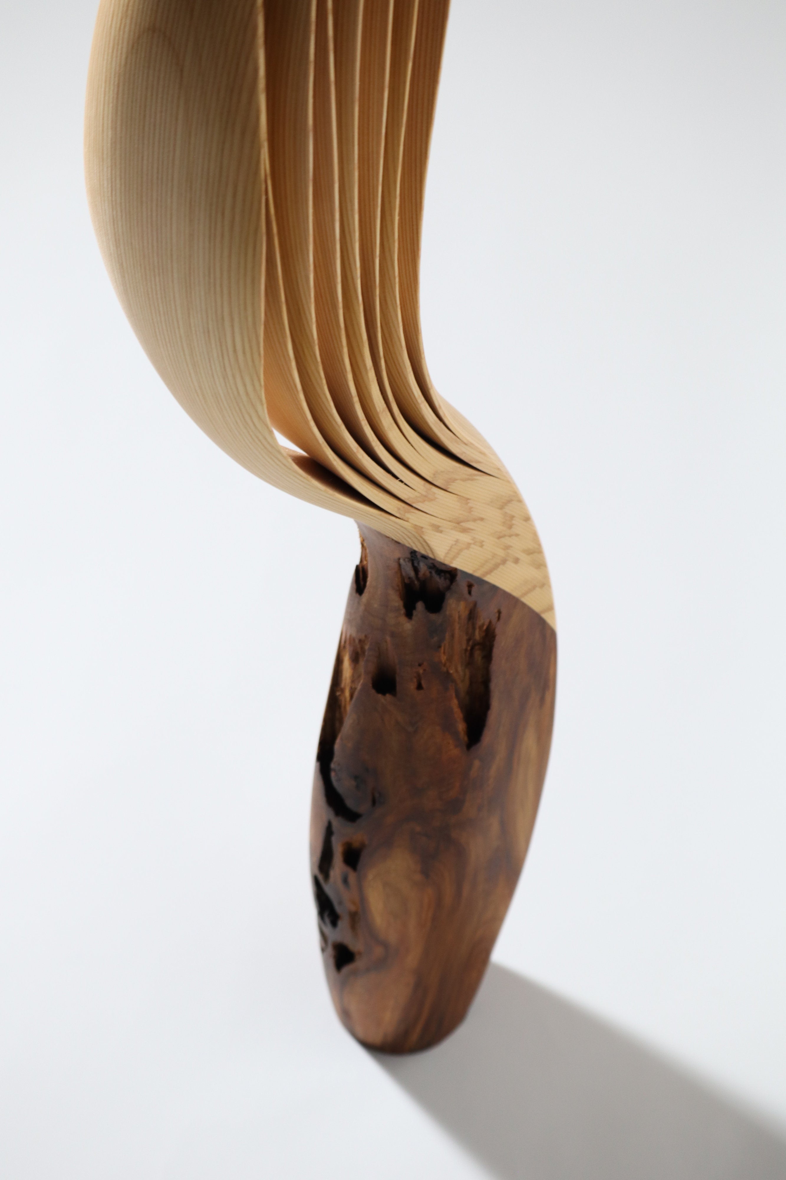 「飛翔」 | 平井 健太