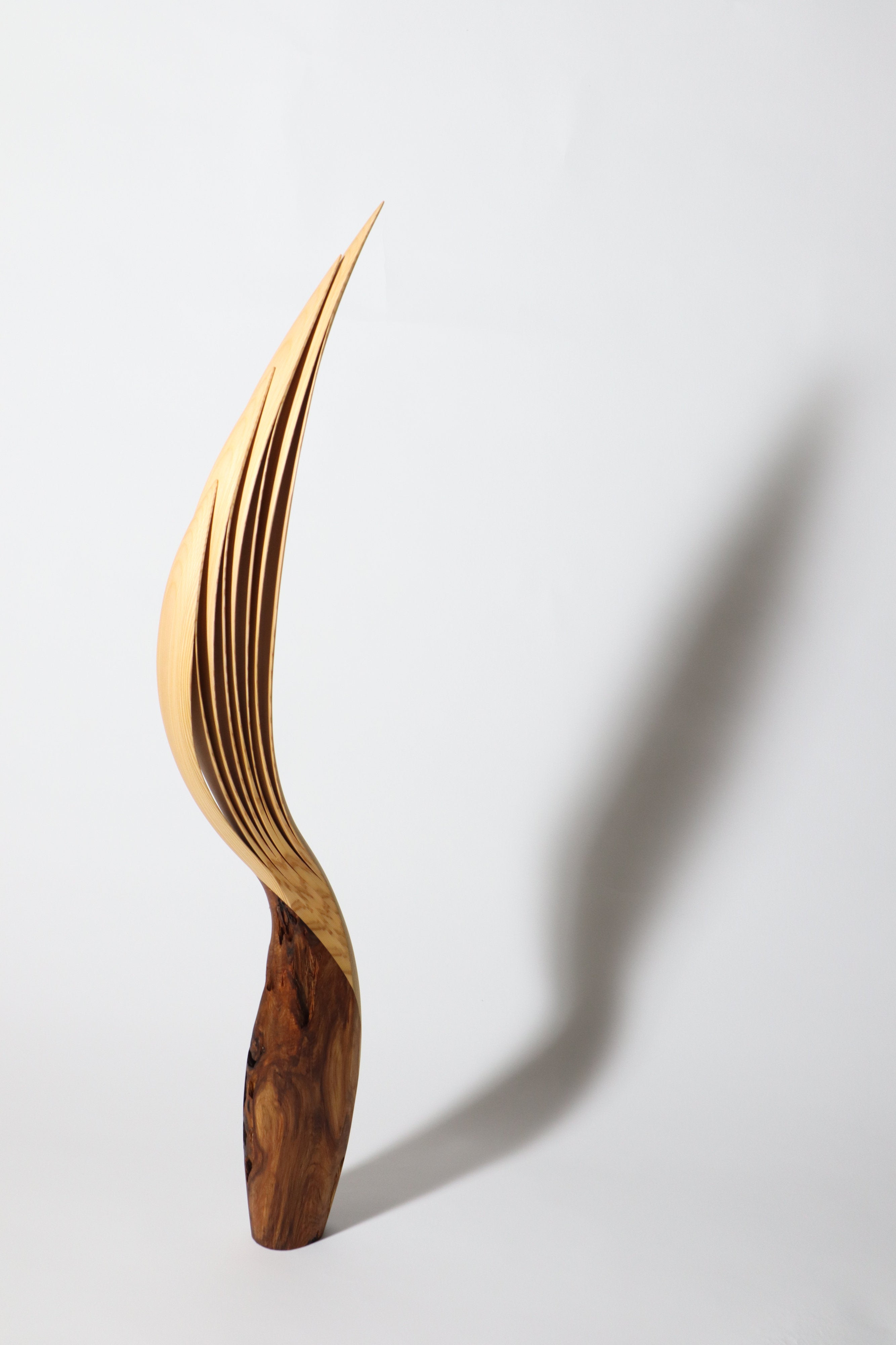 「飛翔」 | 平井 健太