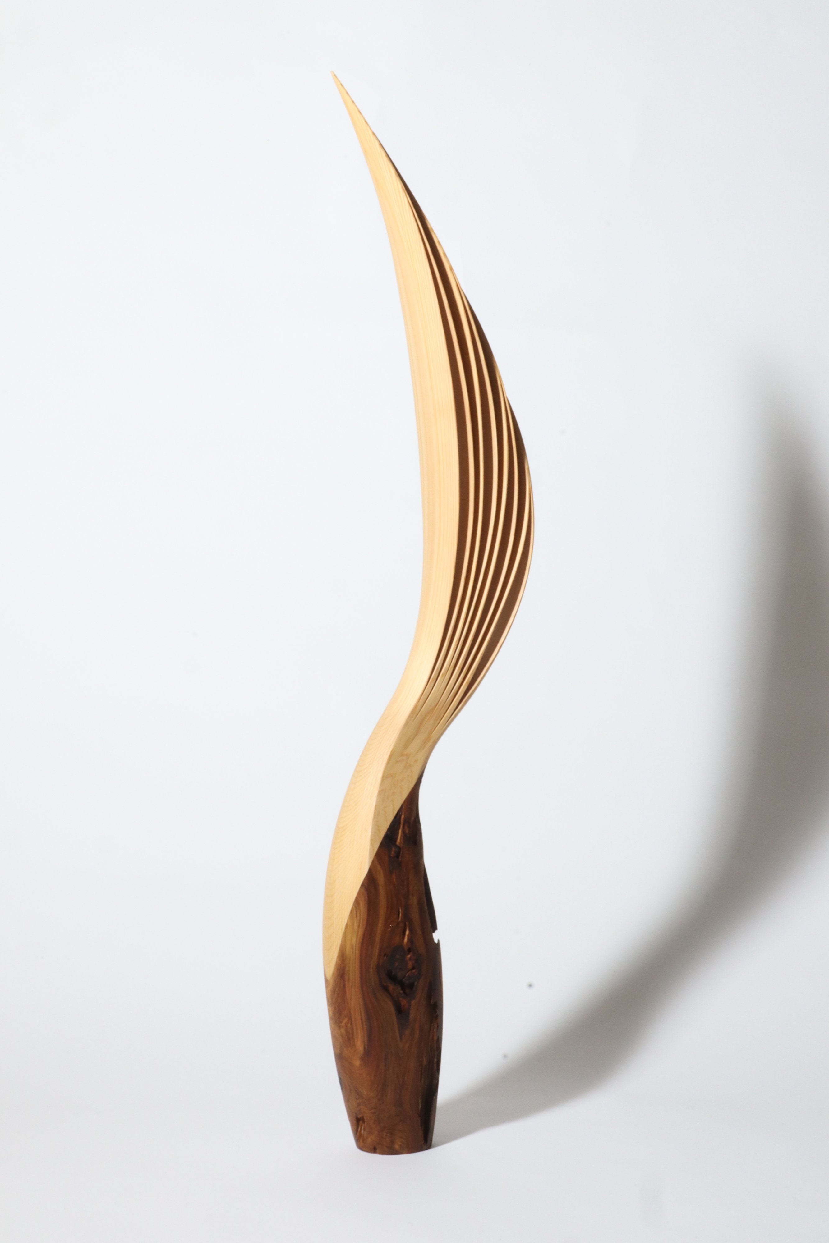 「飛翔」 | 平井 健太