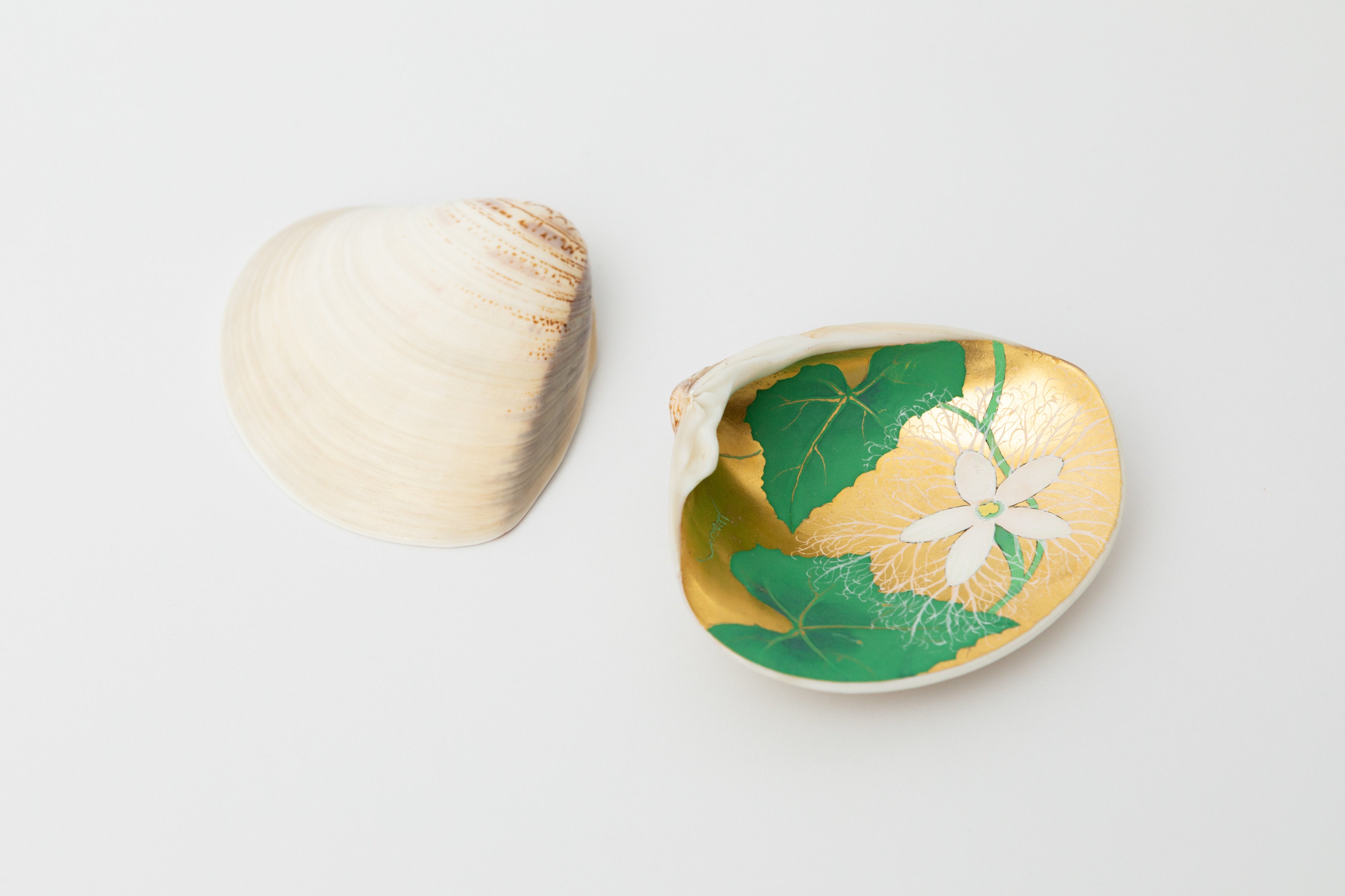 貝覆 烏瓜(画:譲原嵩文) | 雲龍庵