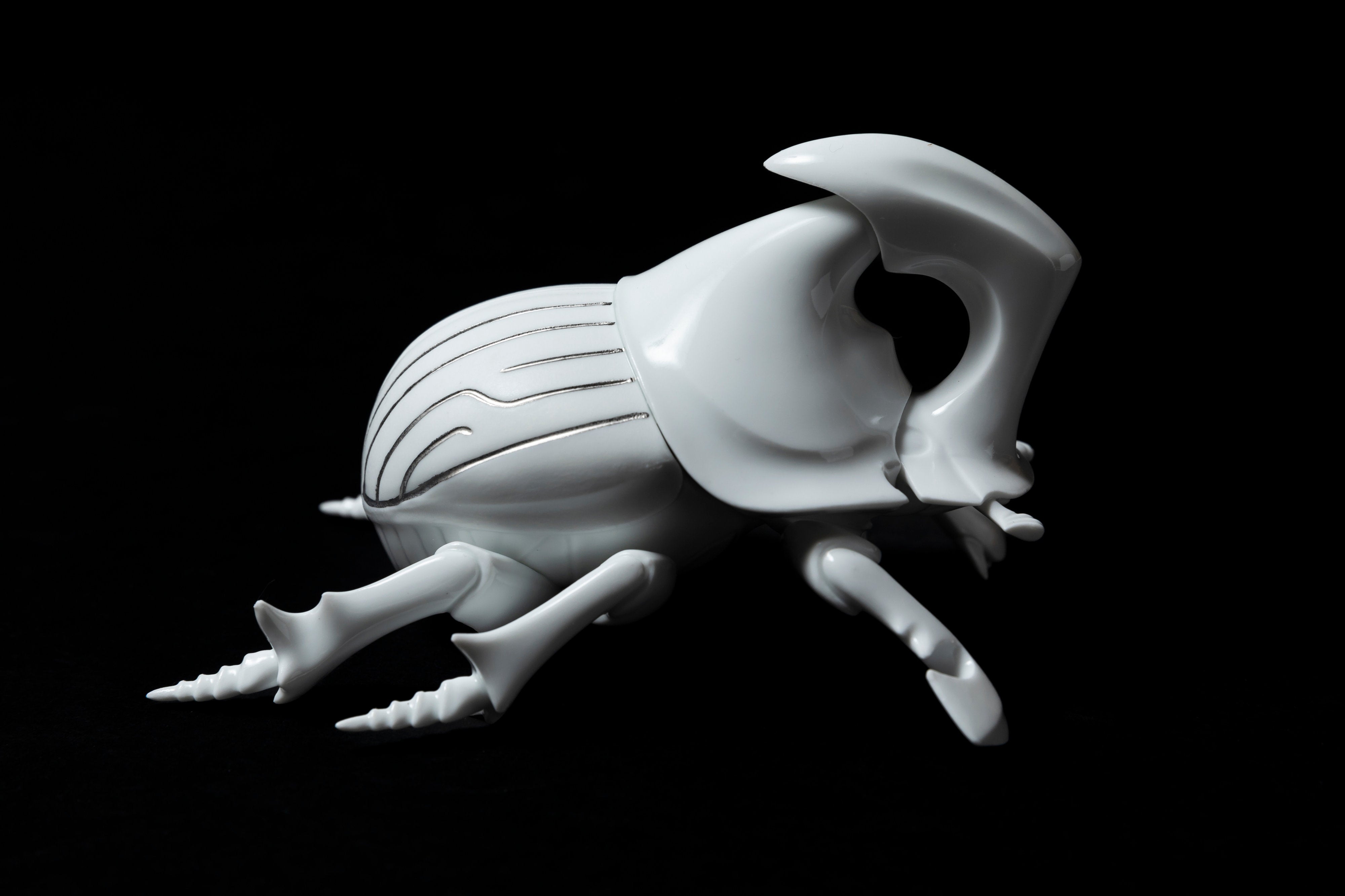 White Horned dung beetle P23 | 堀 貴春