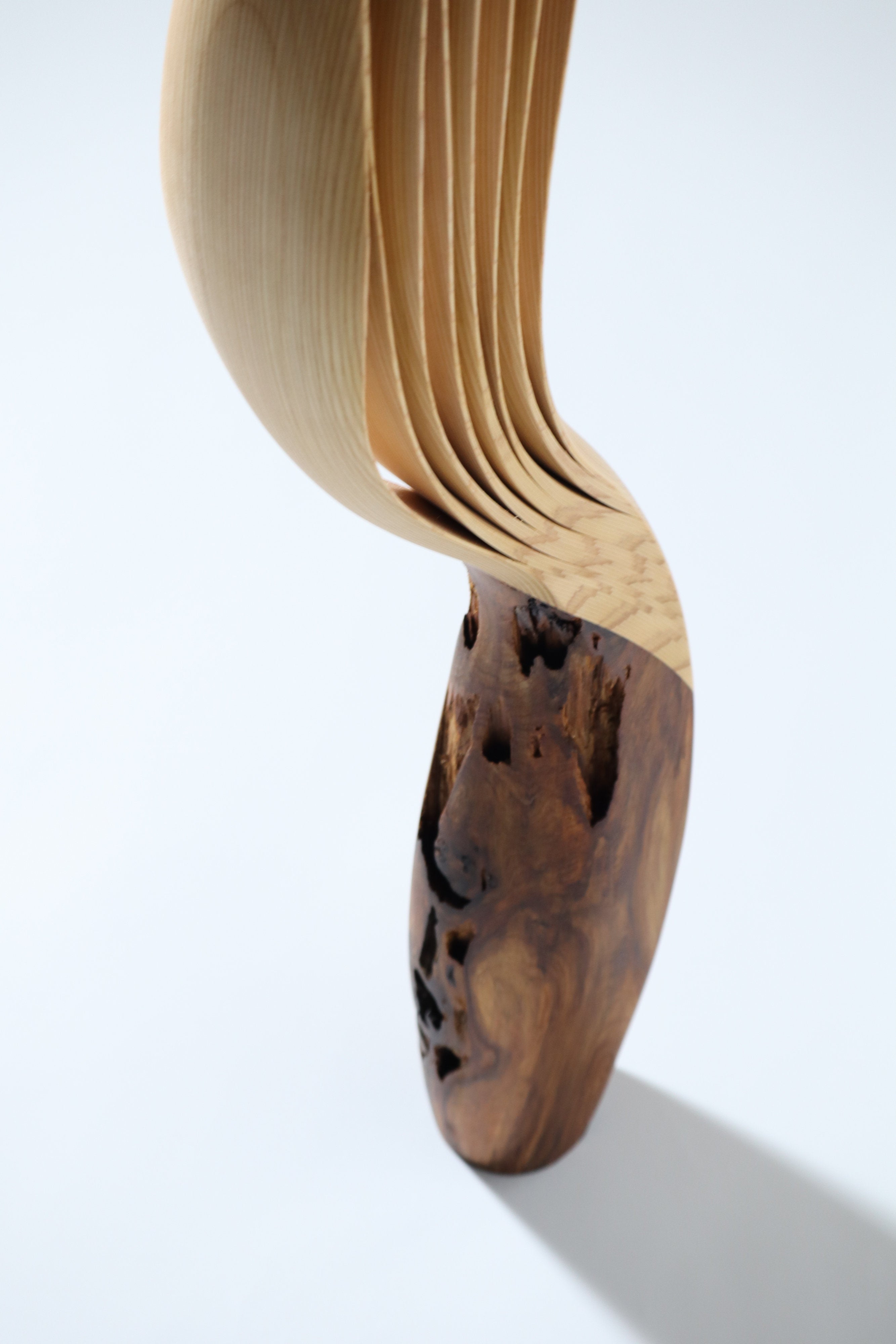 「飛翔」 | 平井 健太