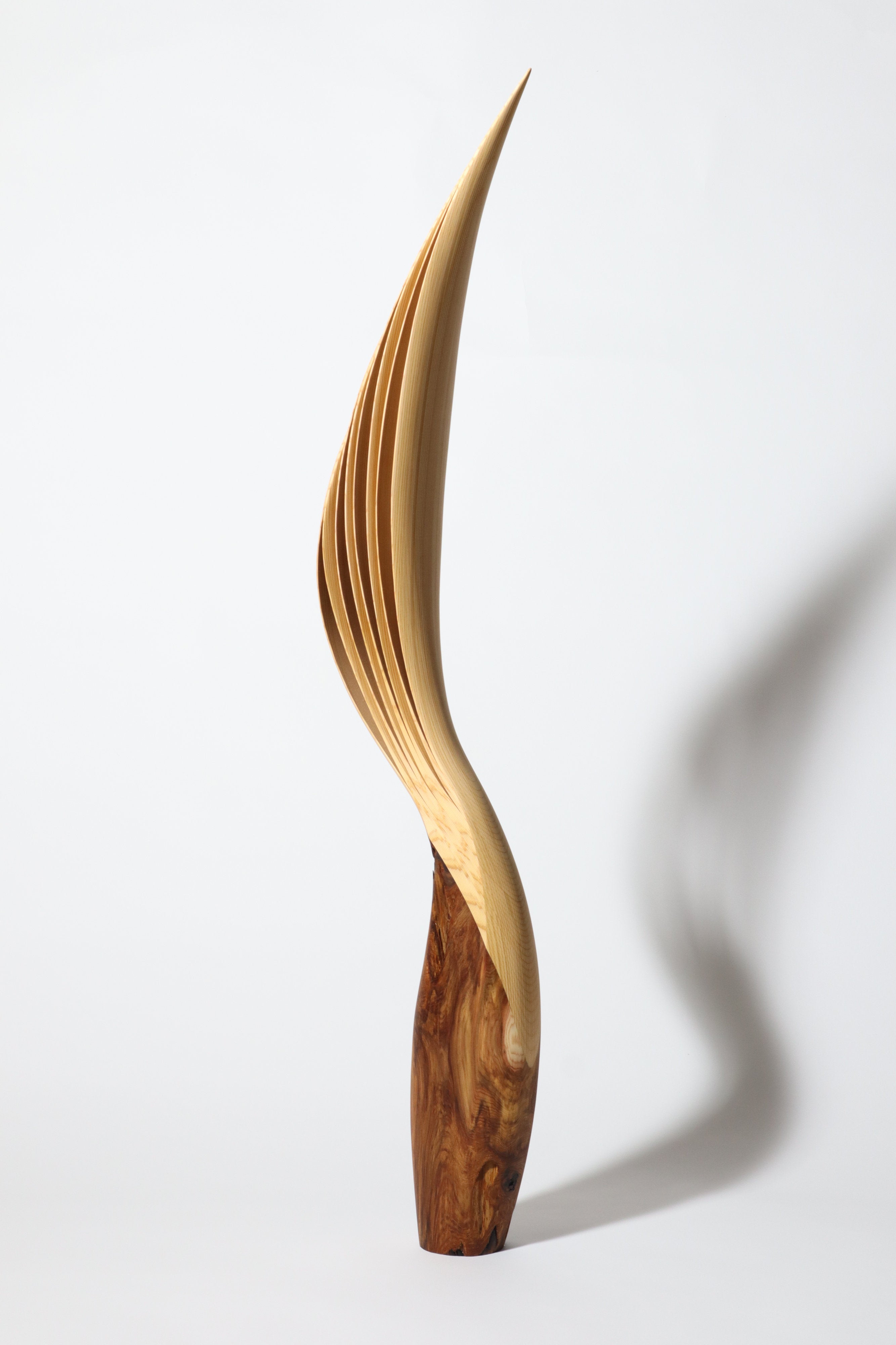 「飛翔」 | 平井 健太