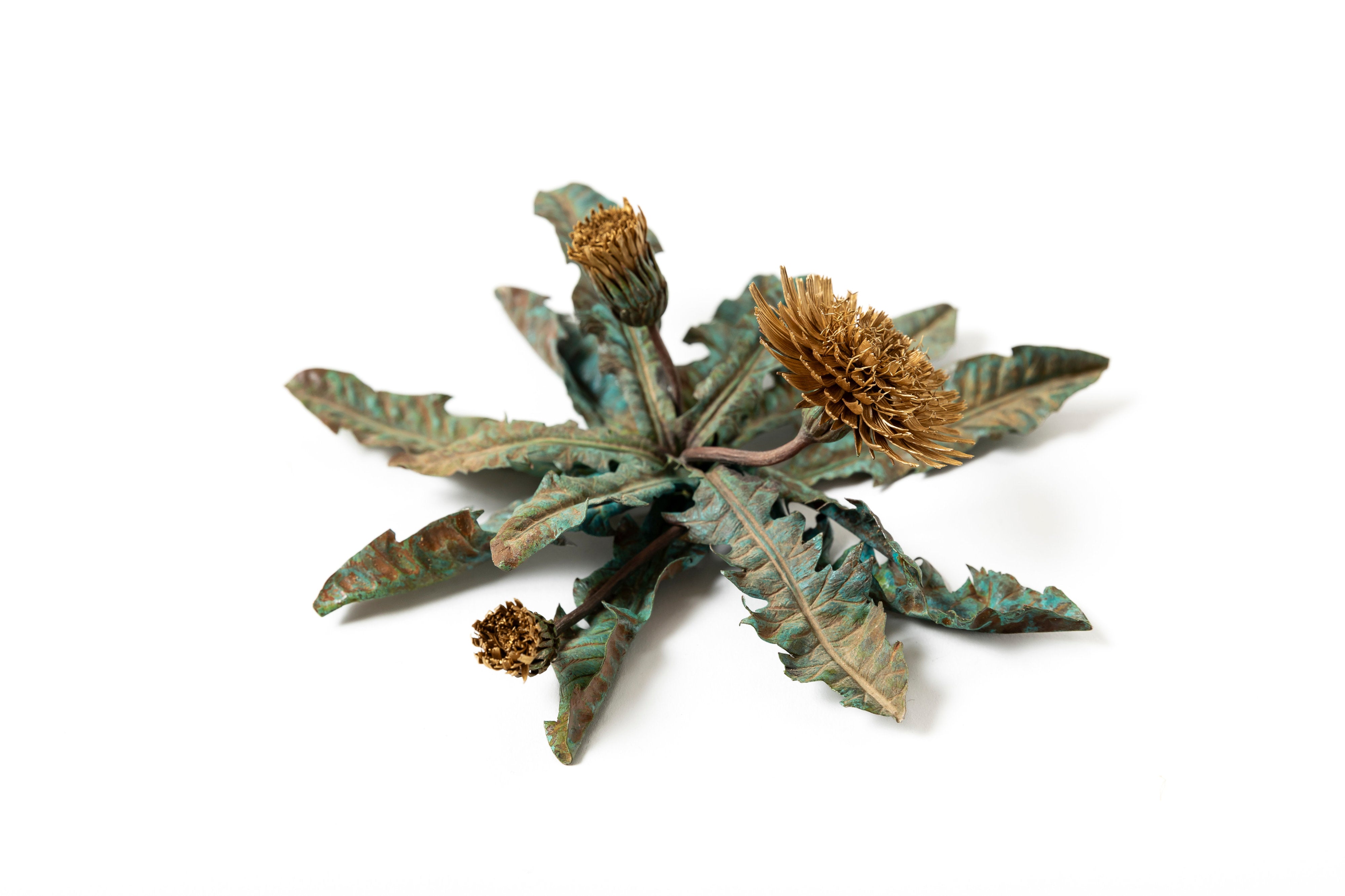 「旅の記憶 :35.01xx° N, 135.67xx° E — Dandelion」 | 鈴木 祥太