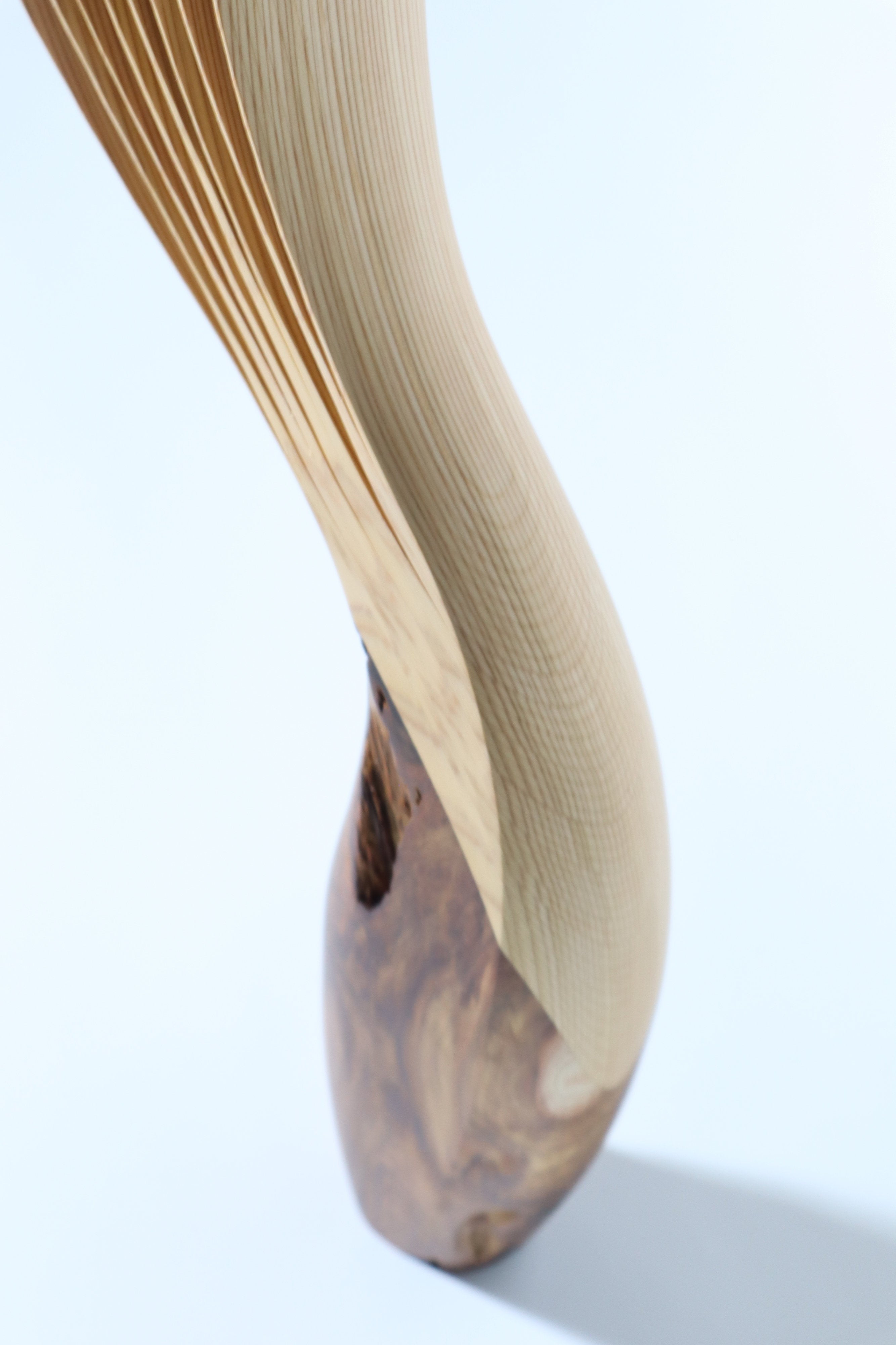 「飛翔」 | 平井 健太