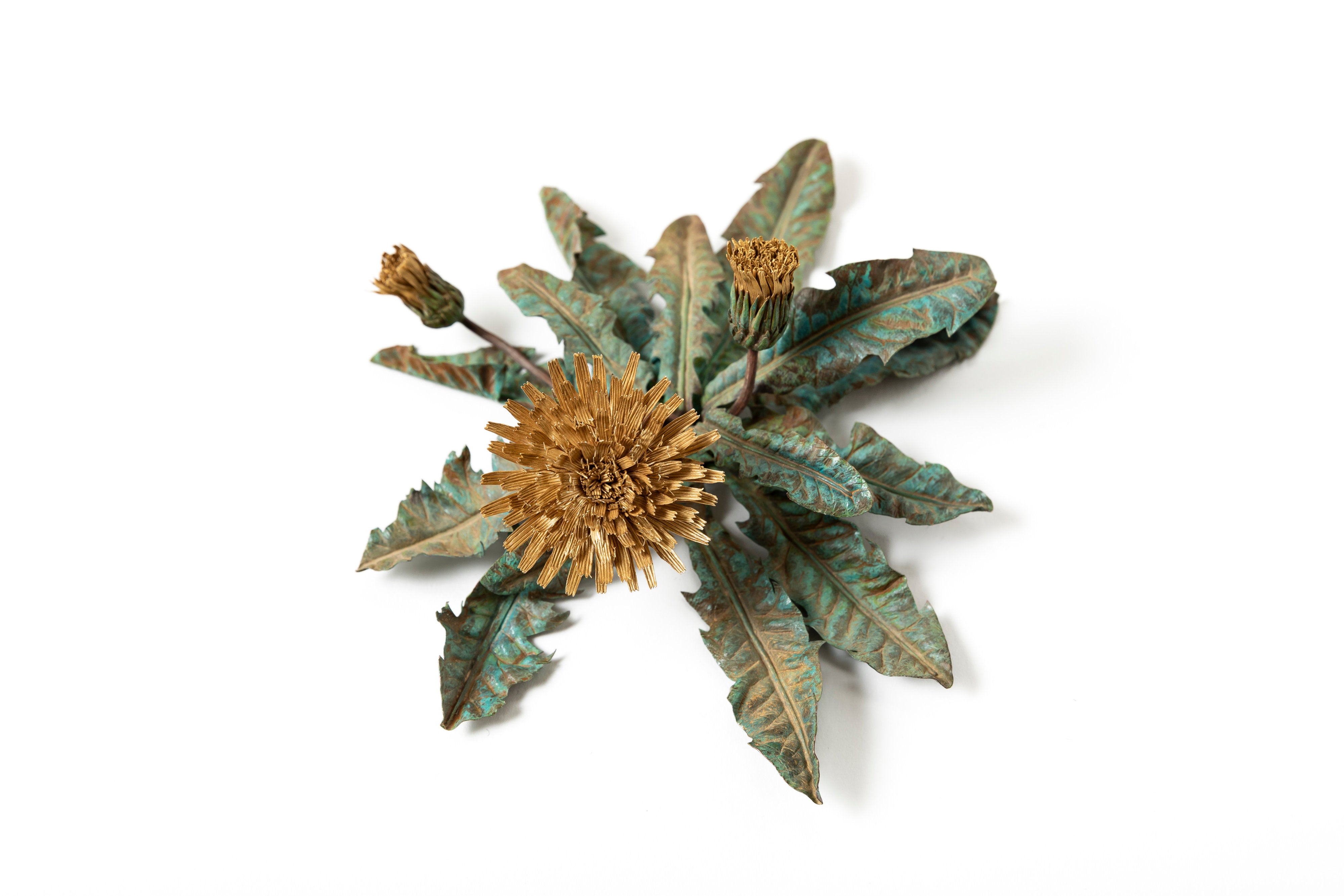 「旅の記憶 :35.01xx° N, 135.67xx° E — Dandelion」 | 鈴木 祥太