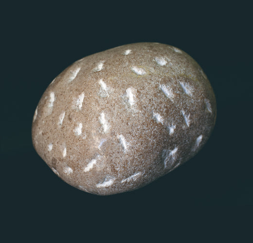 Sphere | 冨長 敦也|Atsuya Tominaga