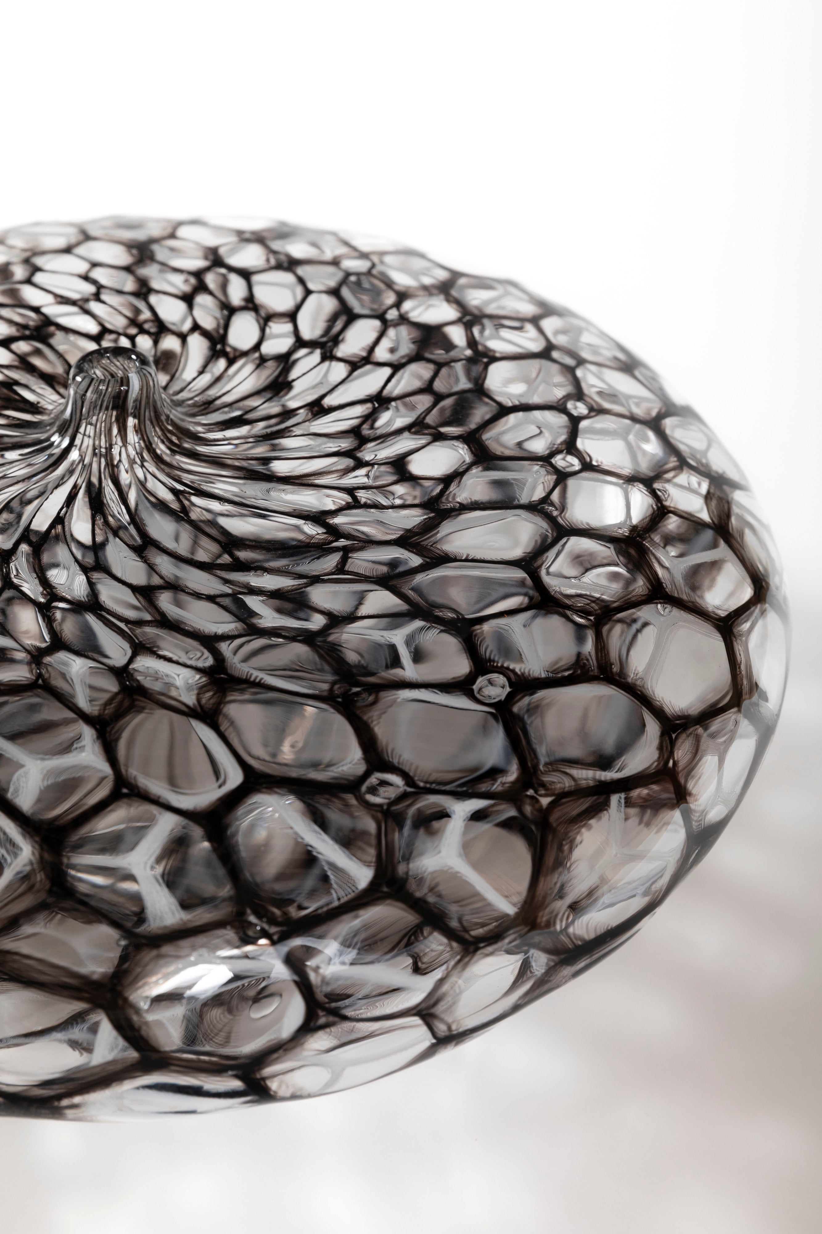 netz 墨白|有永 浩太