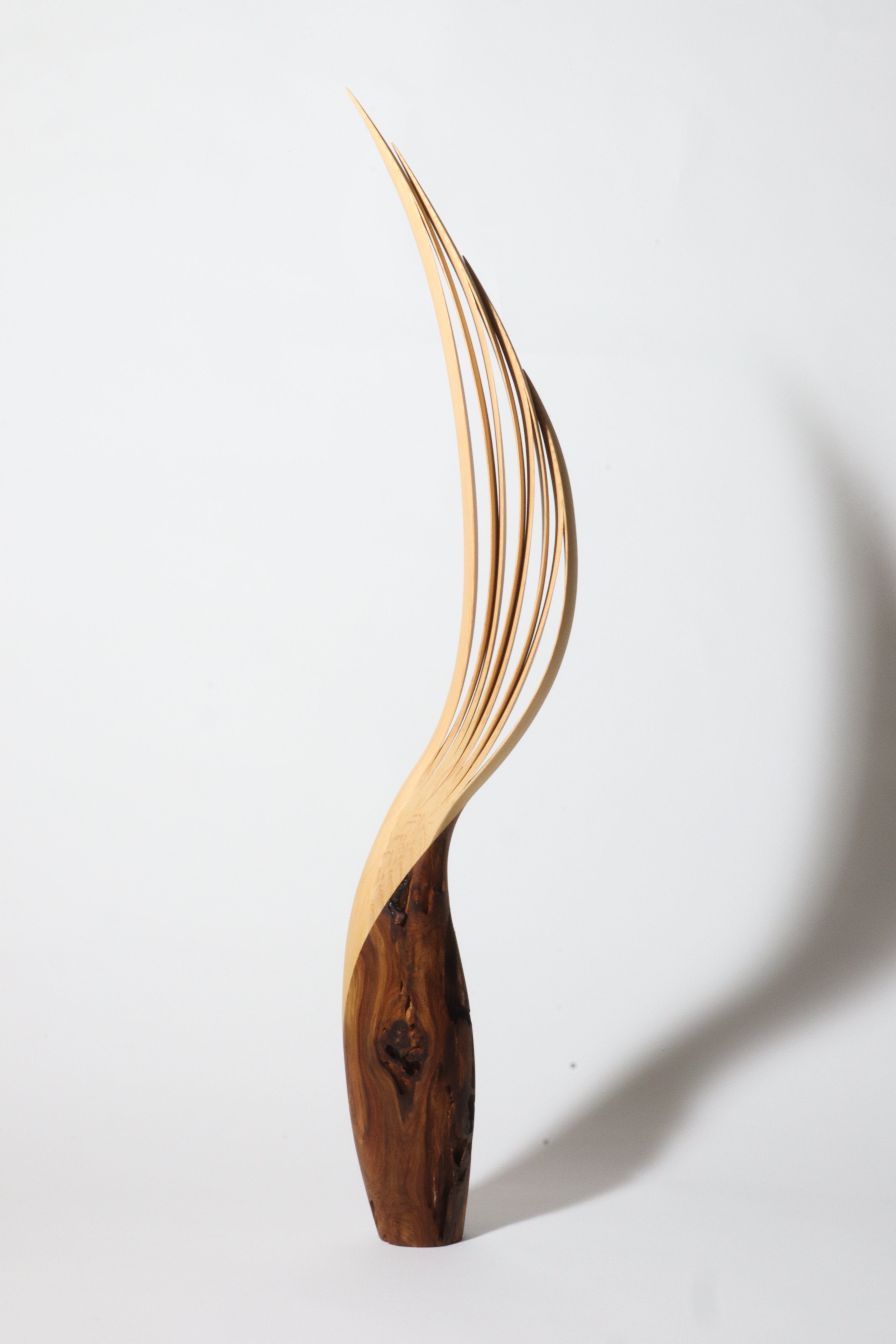 「飛翔」 | 平井 健太