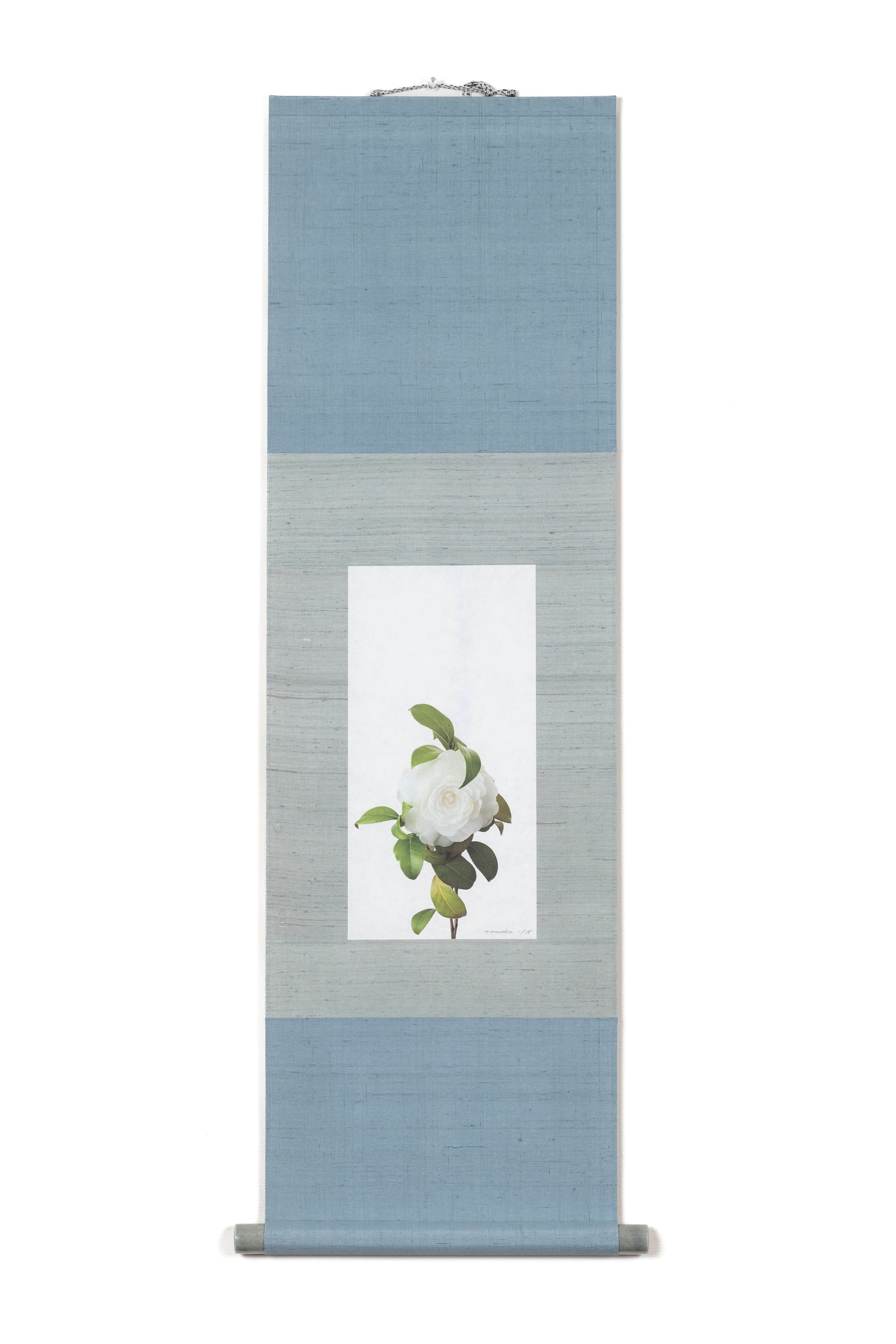 鞆岡 隆史|「樁 (薩摩白)」(1/15)