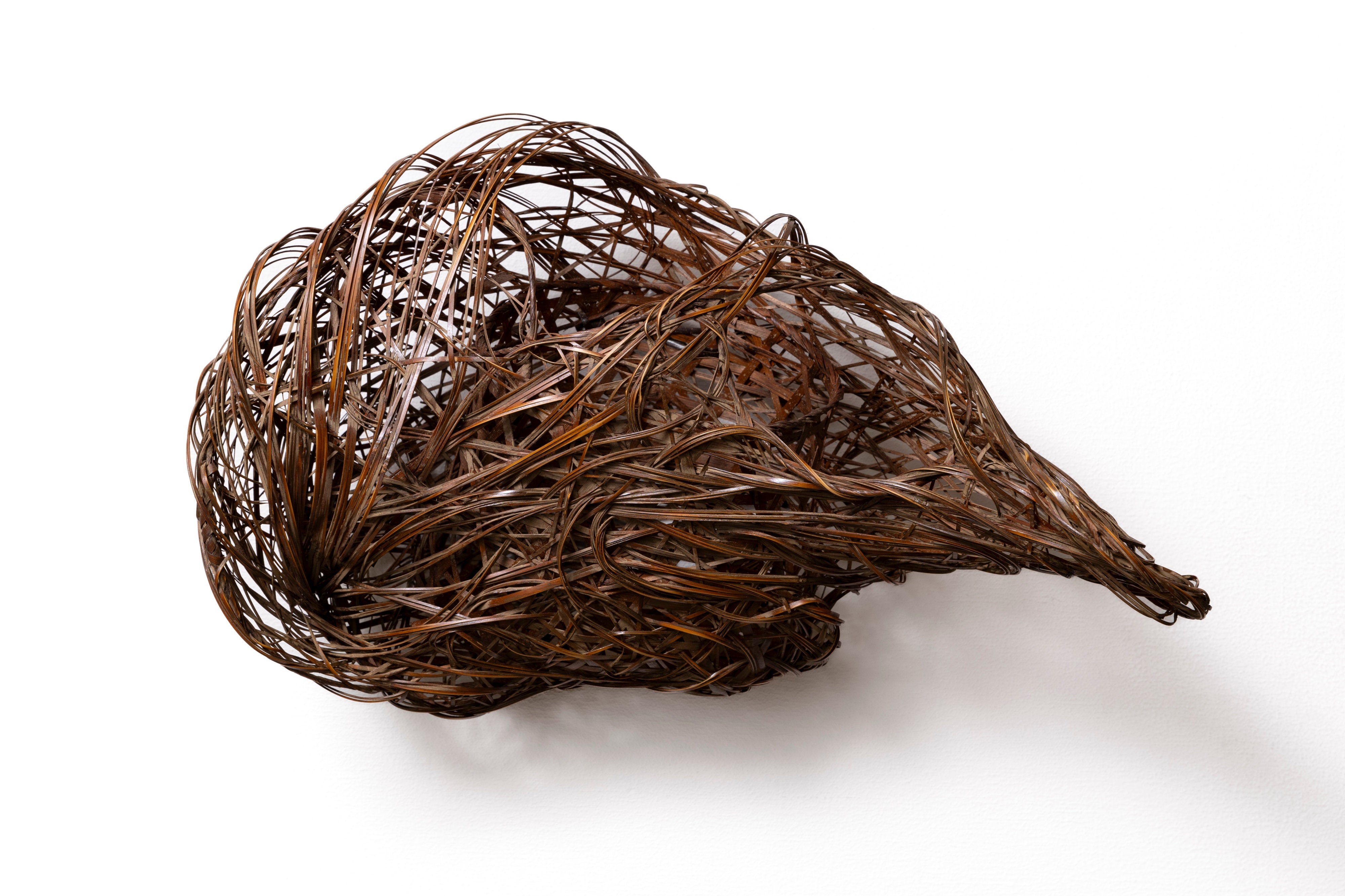 長倉健一 水のかたち | 斎藤正光 監修