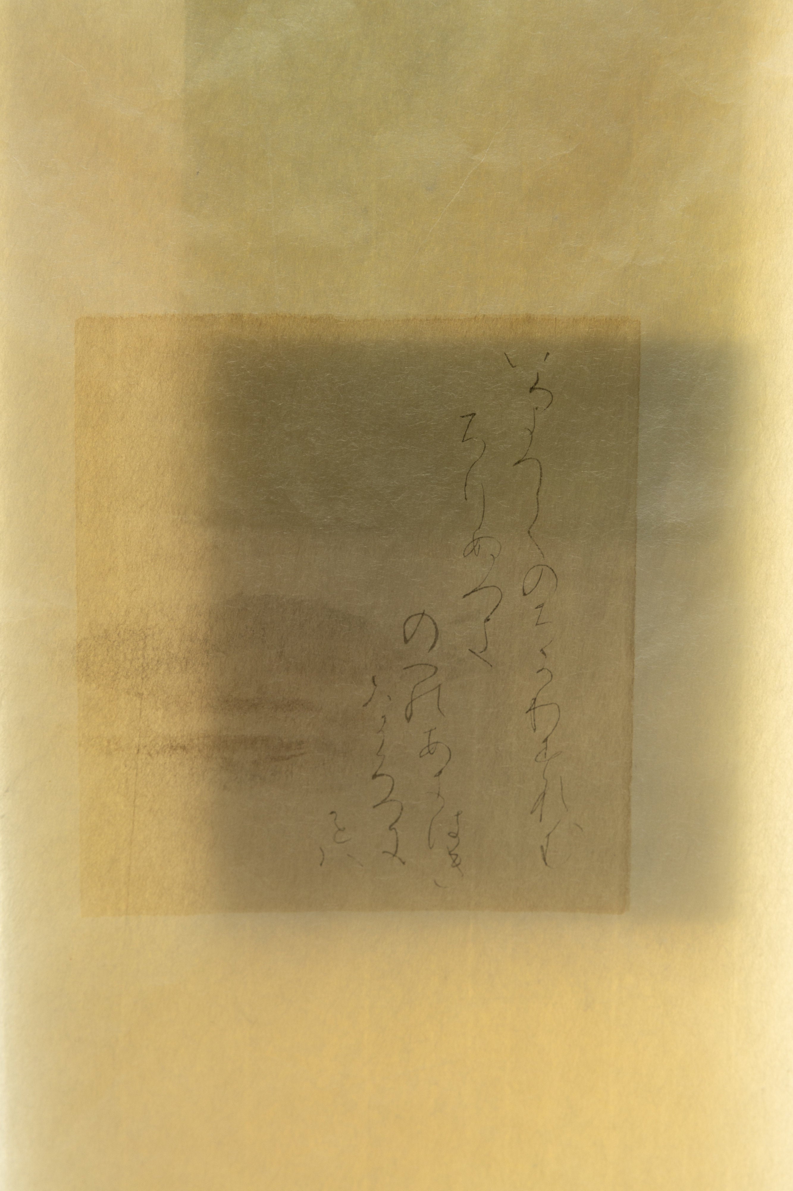 透けわし | 箕浦 敬子