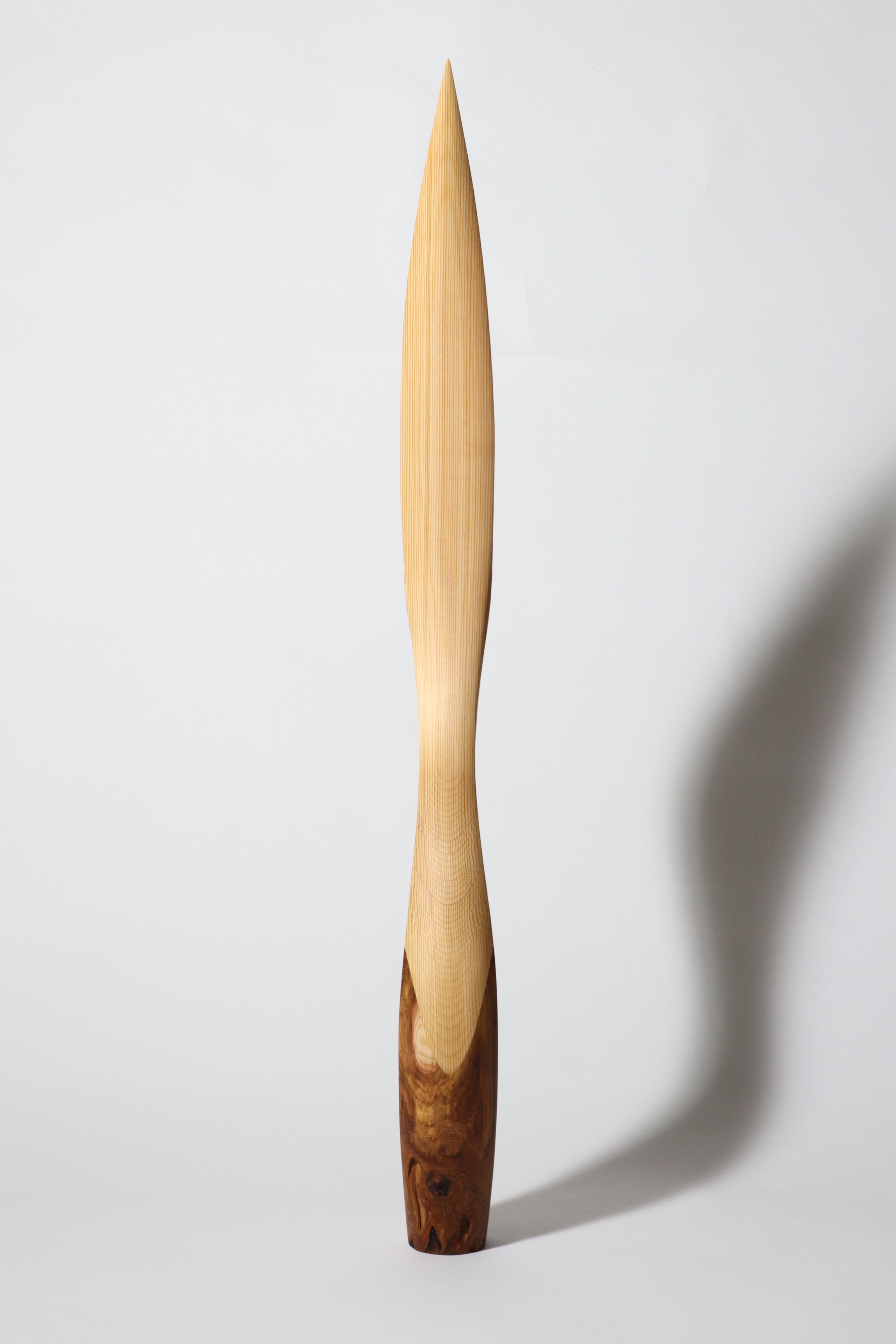 「飛翔」 | 平井 健太