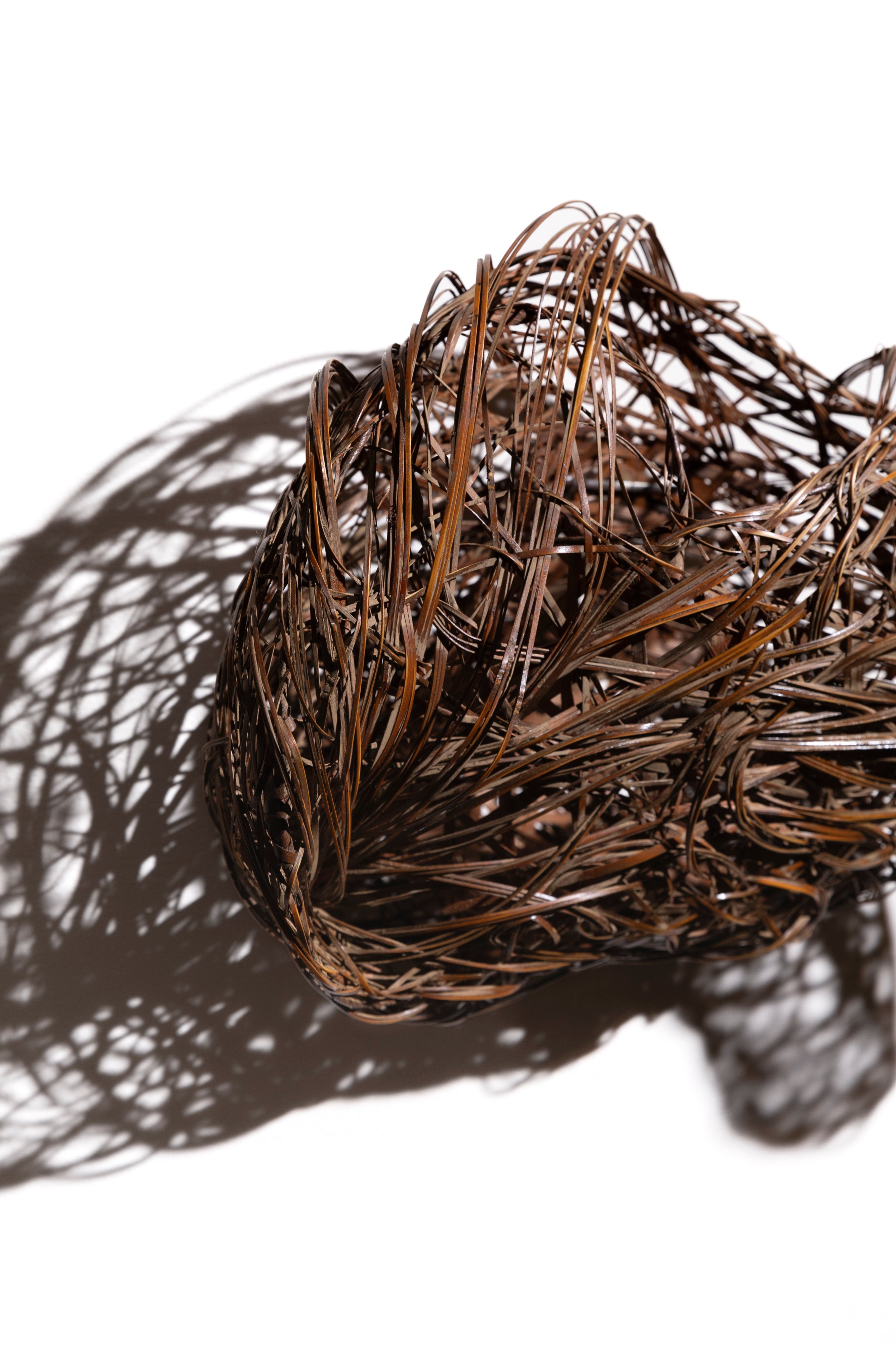 長倉健一 水のかたち | 斎藤正光 監修