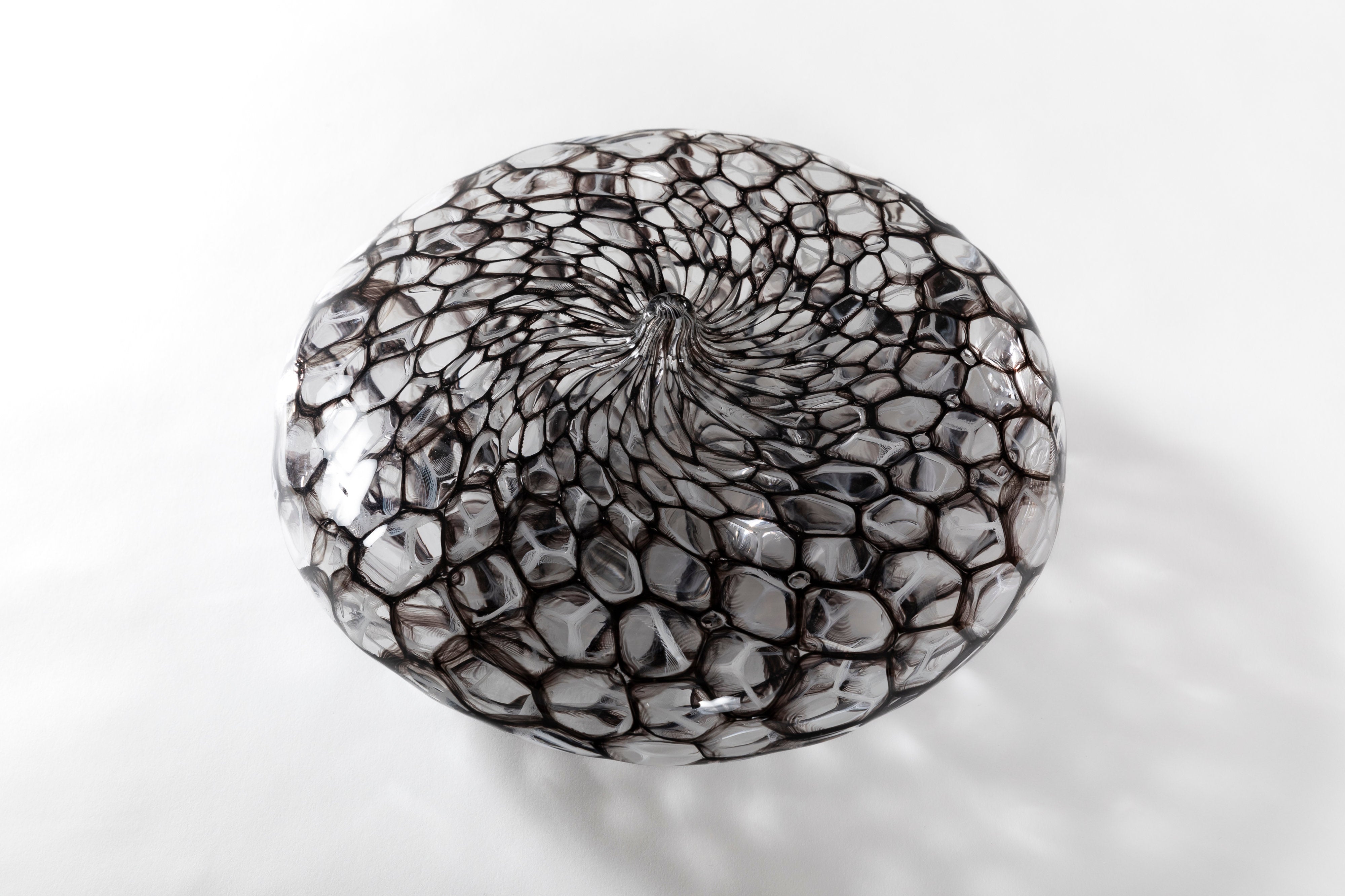 netz 墨白|有永 浩太