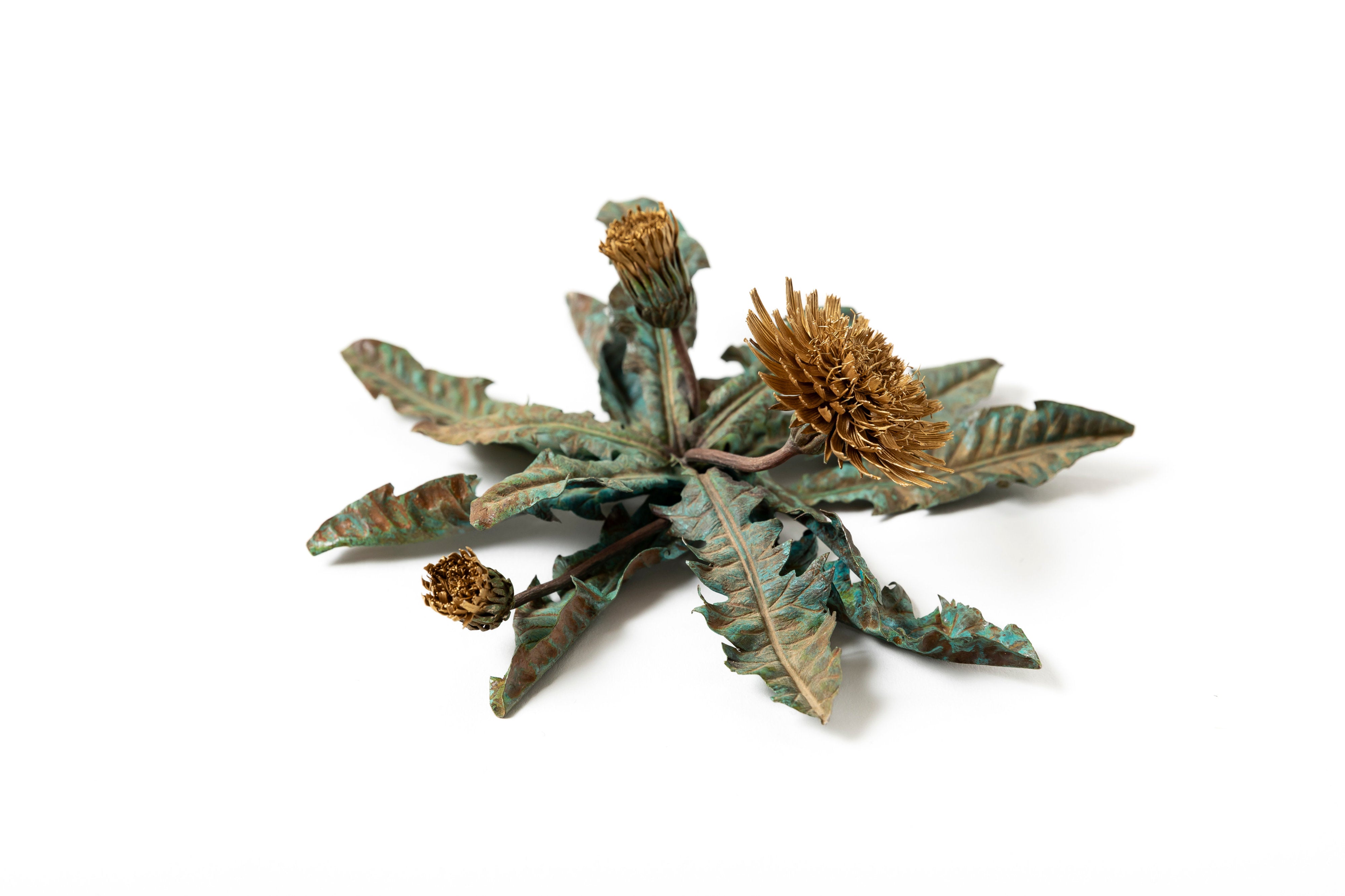 「旅の記憶 :35.01xx° N, 135.67xx° E — Dandelion」 | 鈴木 祥太